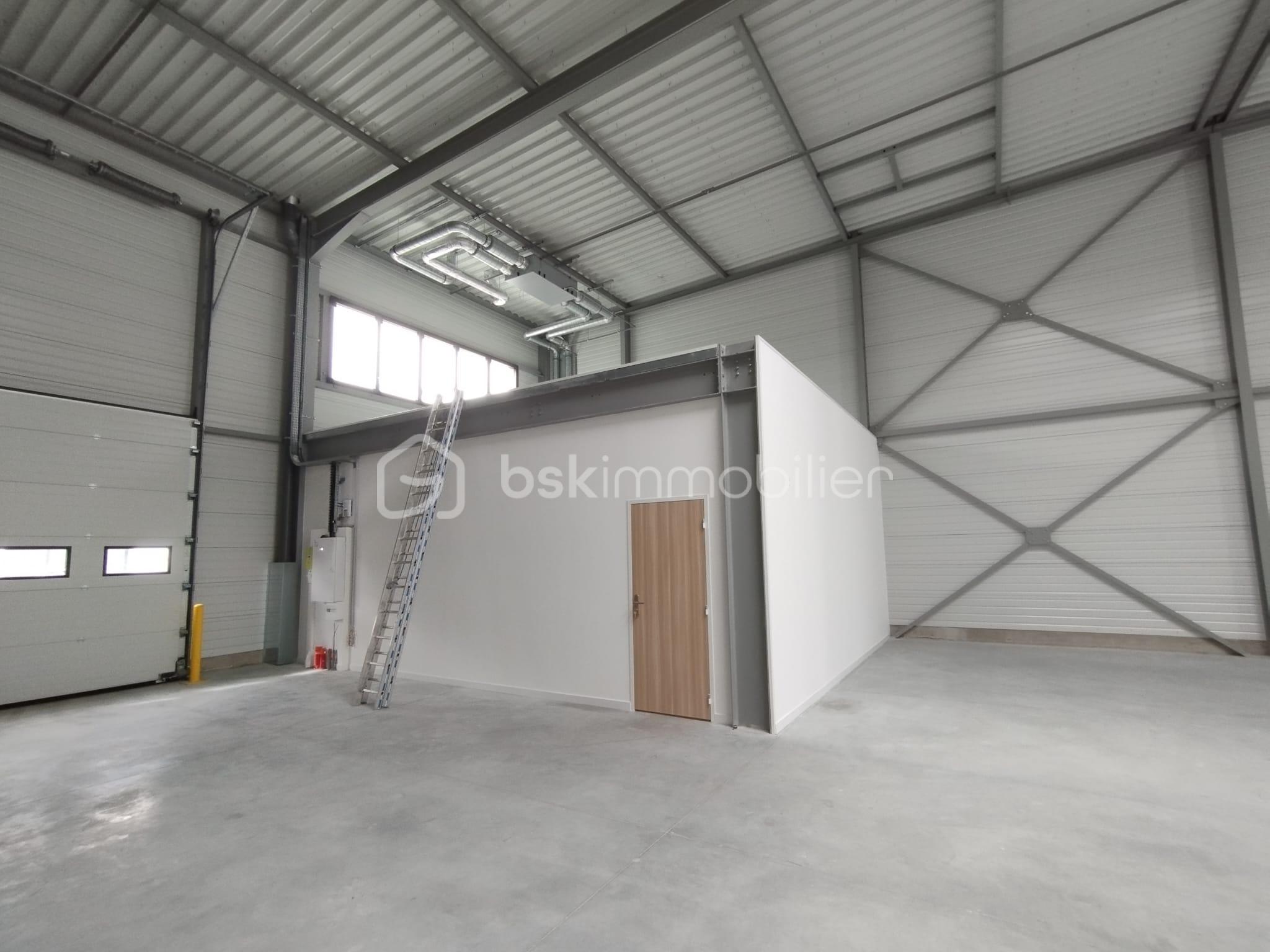 WhatsApp Image 2026-03-26 at 16.55.57 (3).jpeg