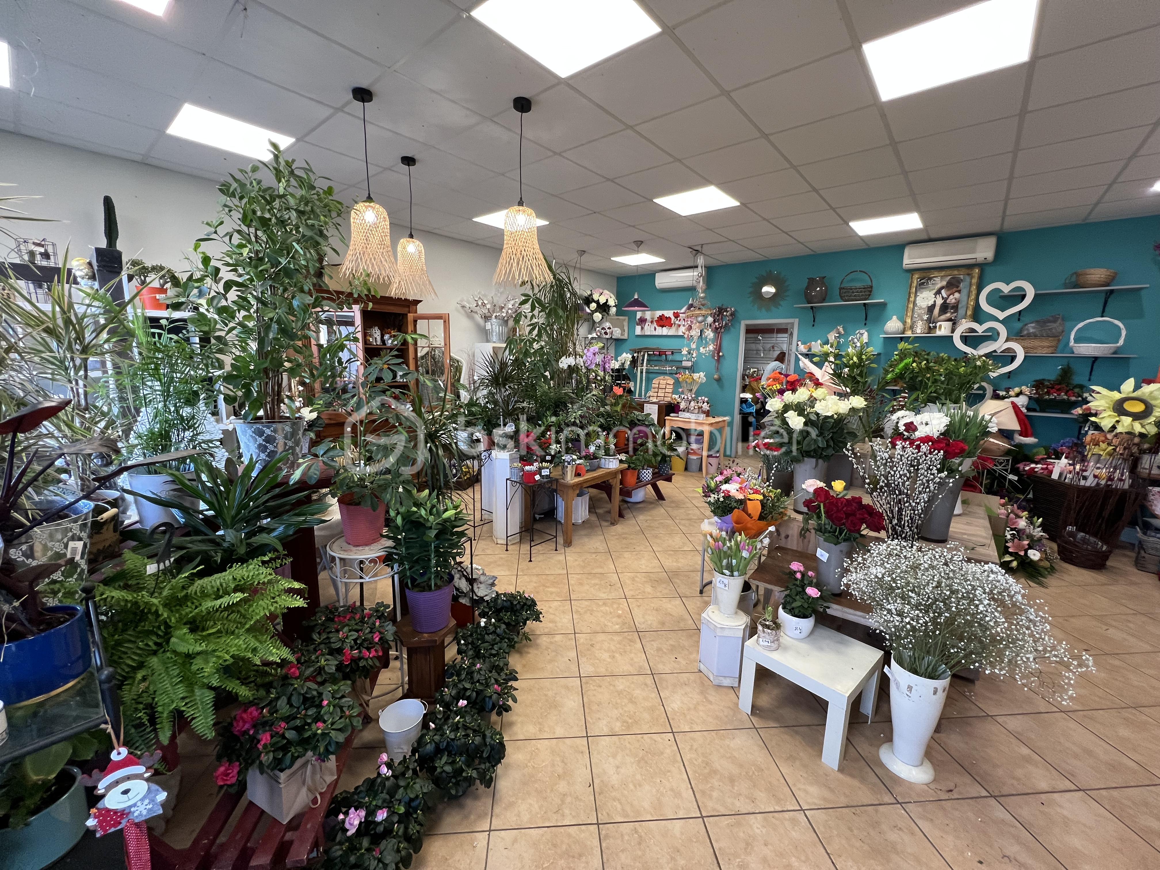 Fonds de commerce - tempImageSiA3Tl.png