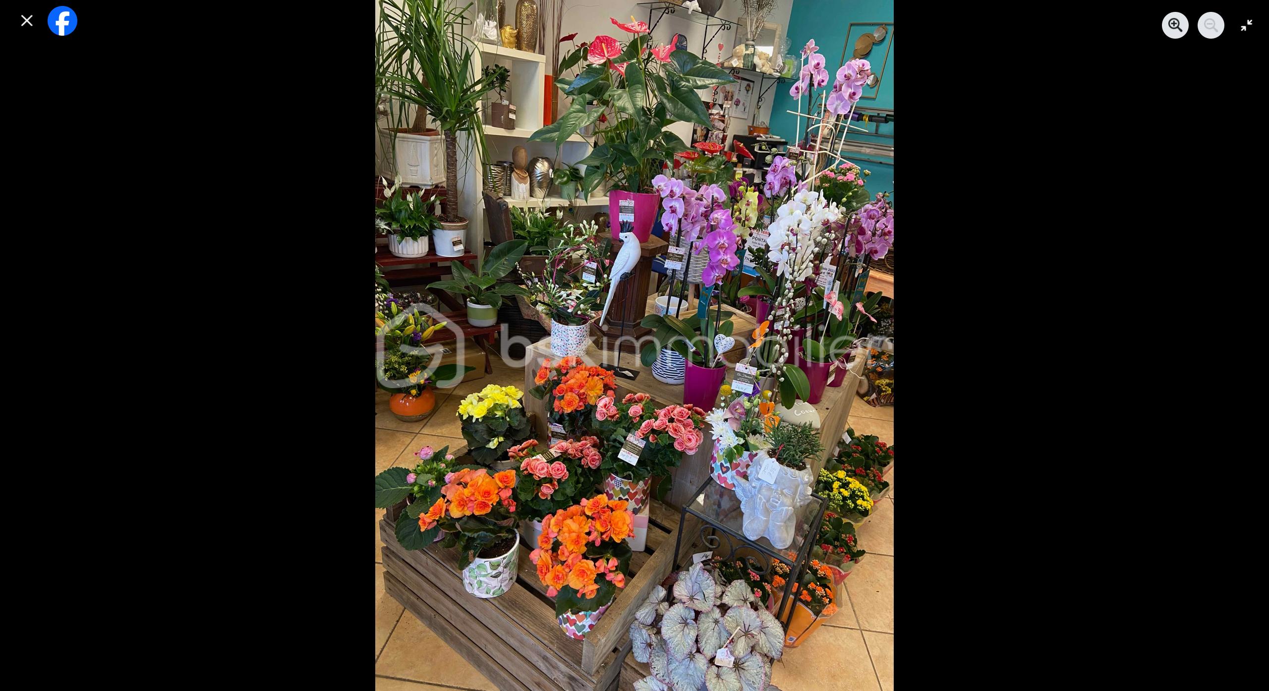 Fonds de commerce - FLEUR.png