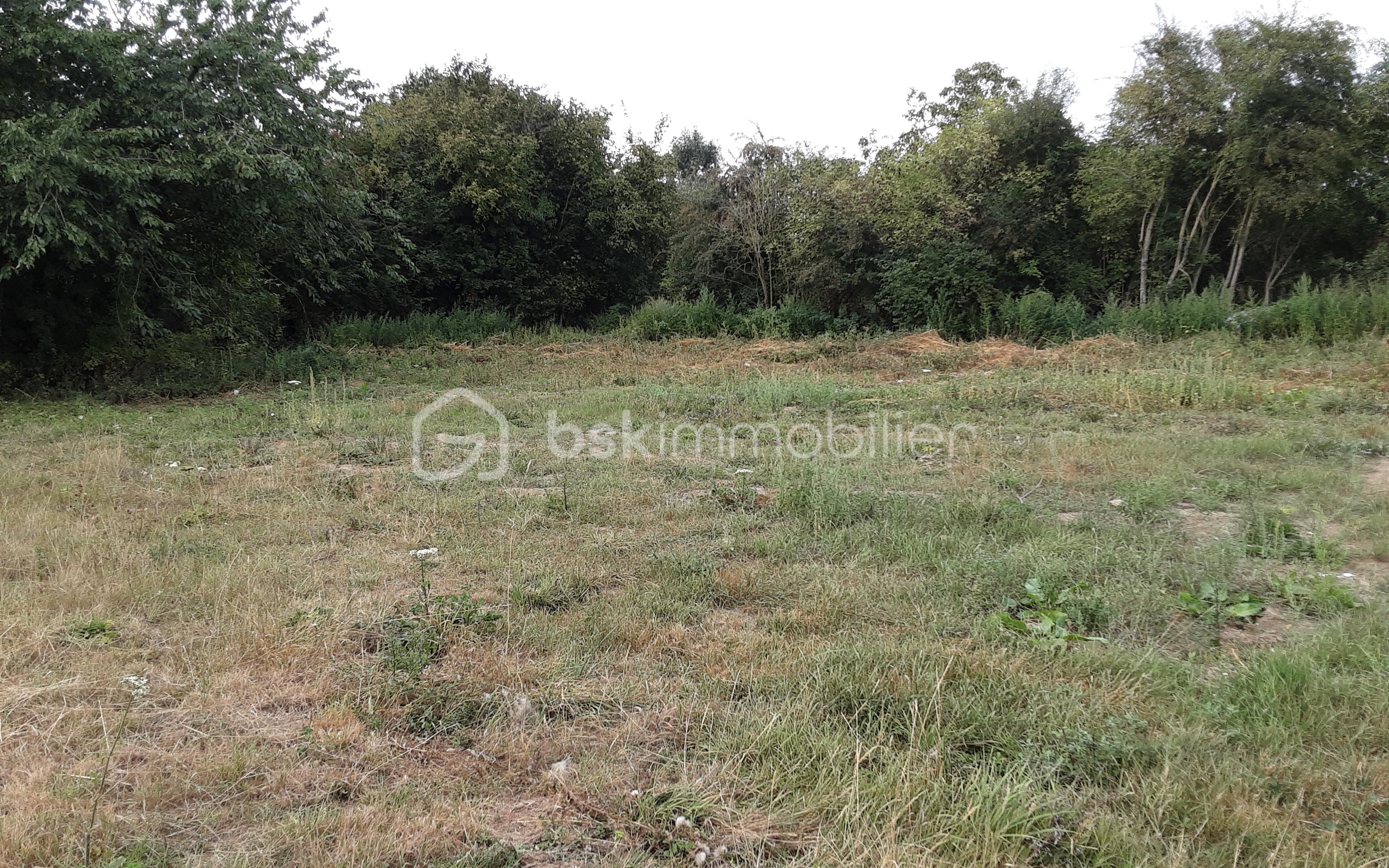 Terrain commercial de 642 m² - 20250822_191402.jpg