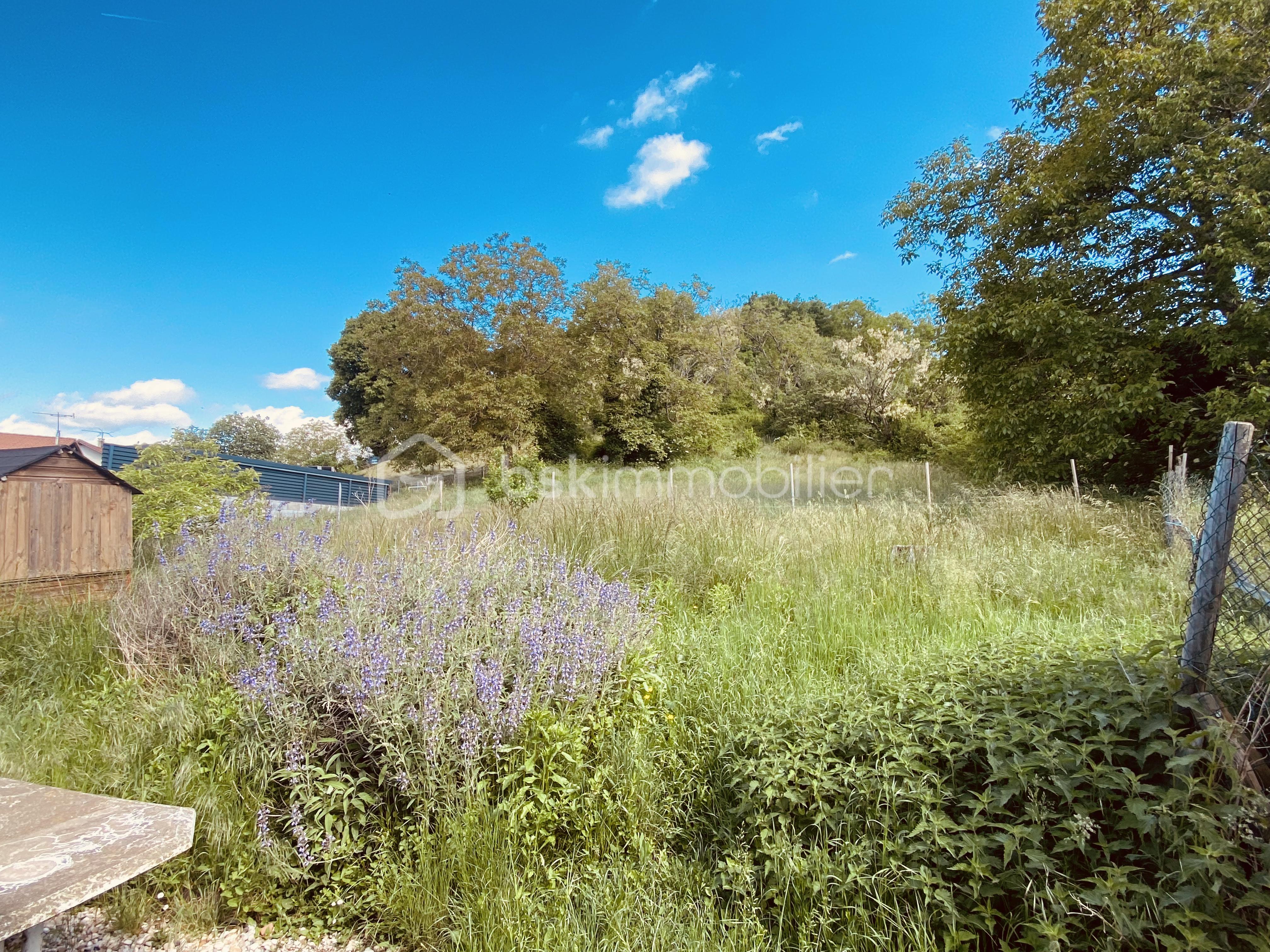 Maison de 170 m² - tempImage7ckQer.png