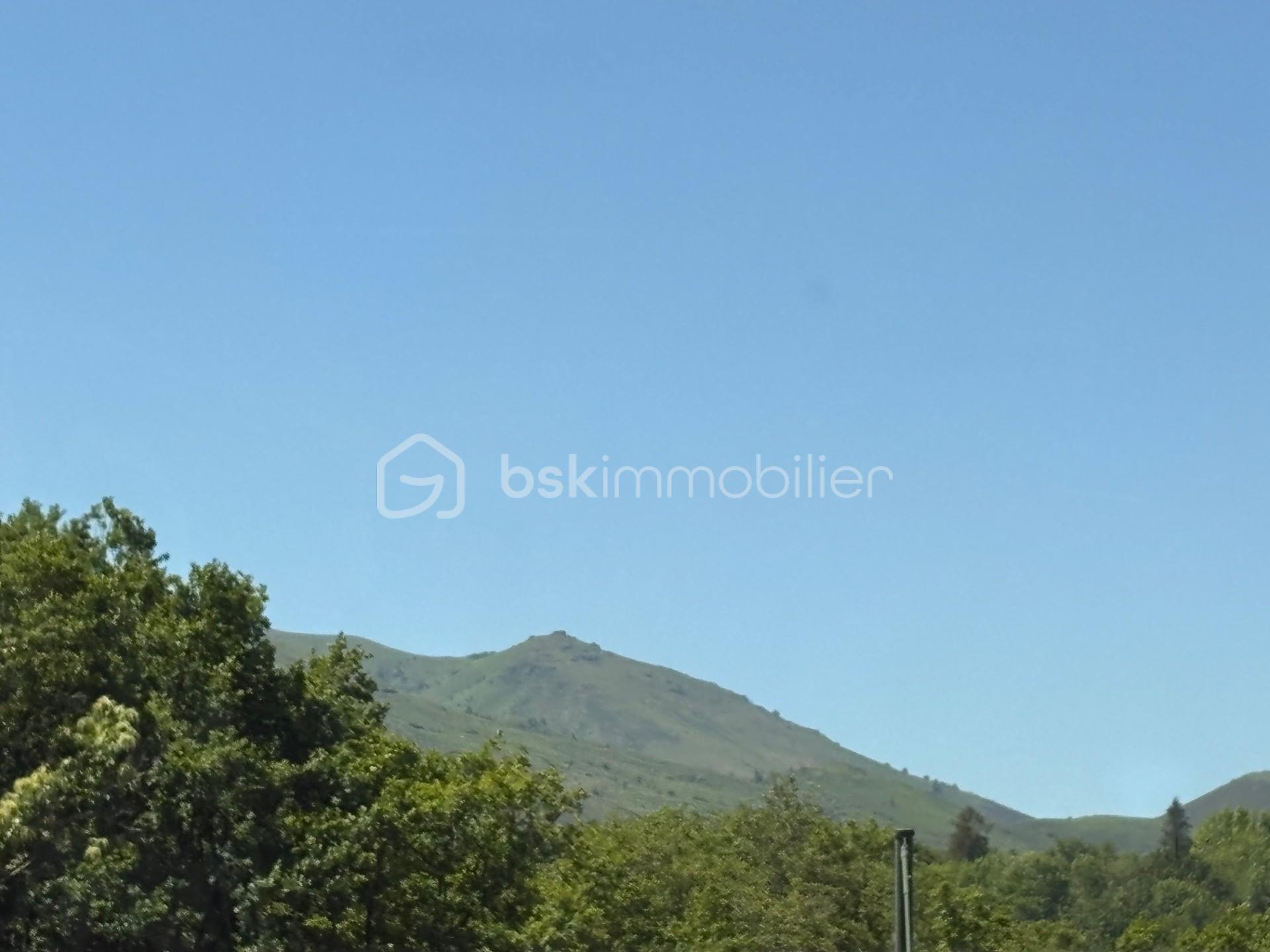 Local d activites de 246 m² - thumbnail_IMG_7018.jpg