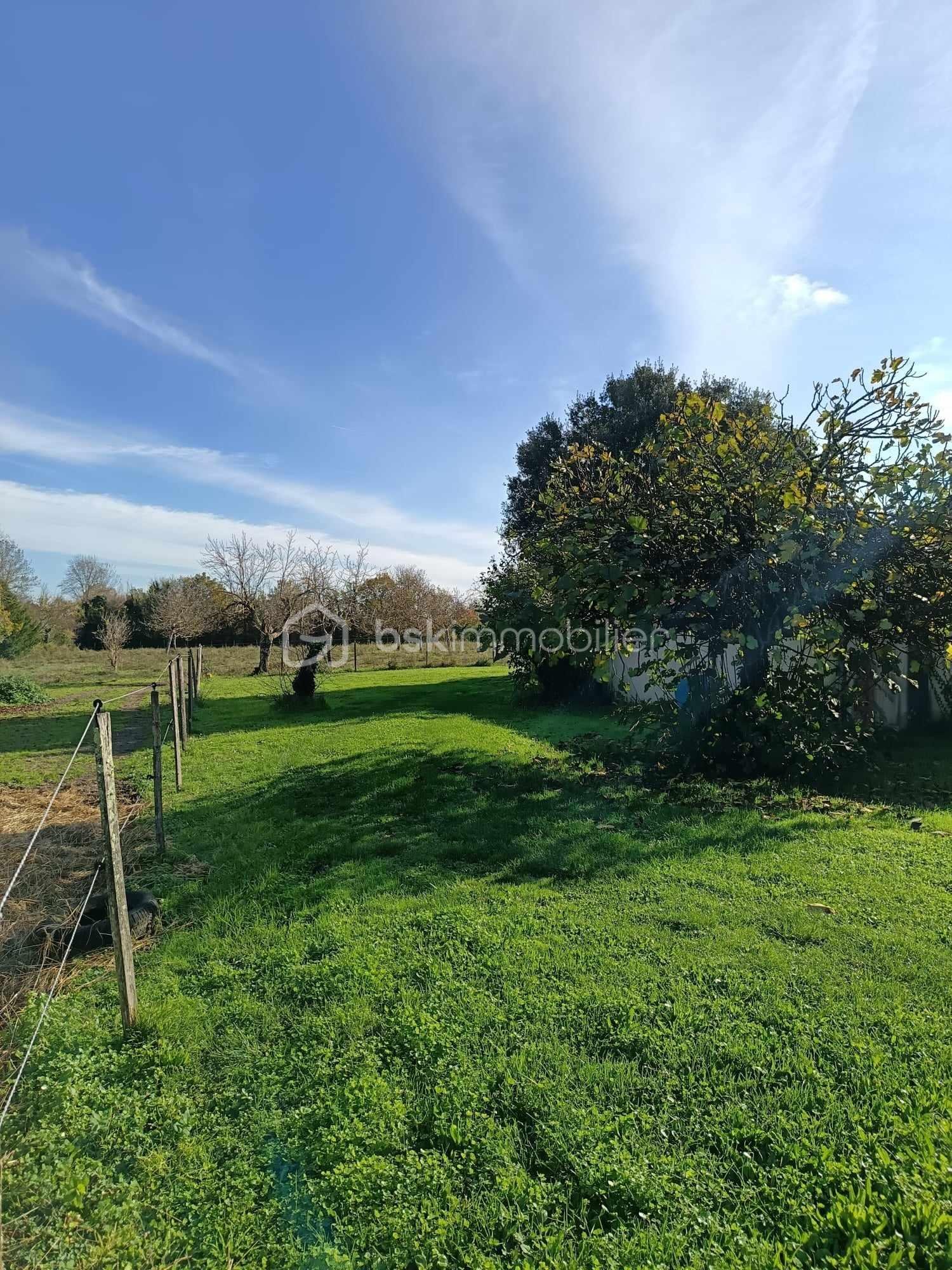 Demeure de 500 m² - PHOTO JARDIN COTE DEPENDANCE.jpg