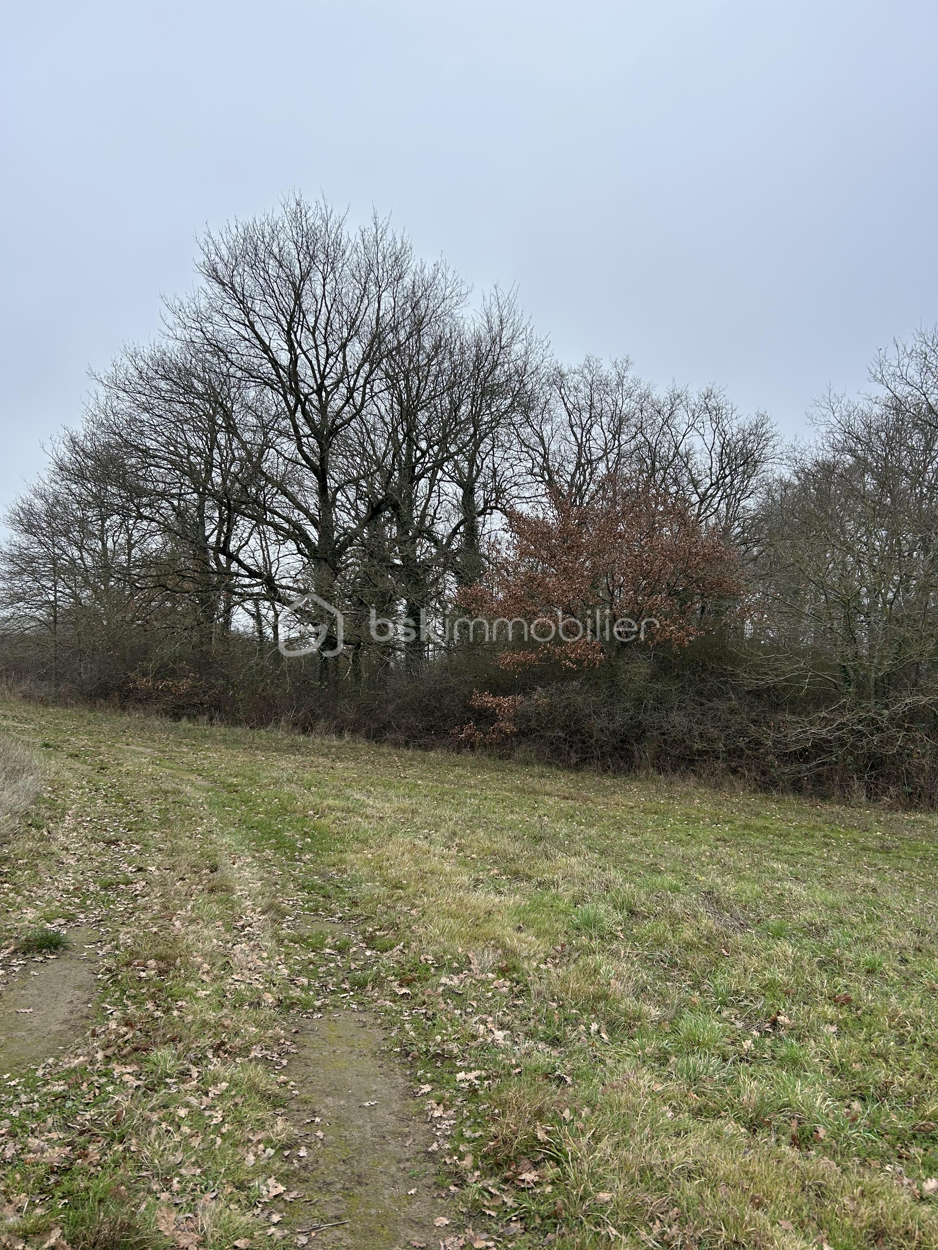 Terrain de loisirs de 16 160 m²