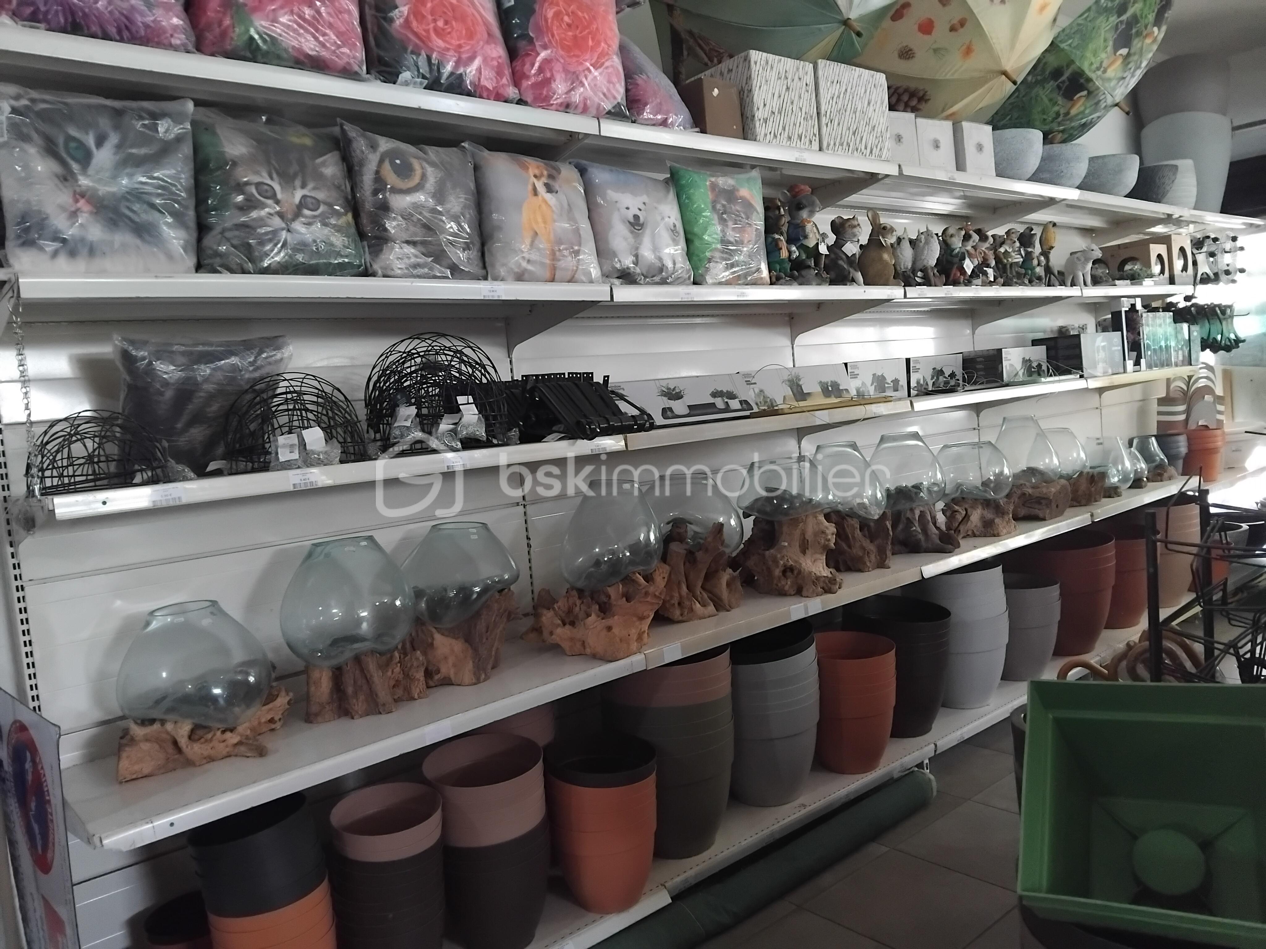 Boutique de 220 m² - rayons magasin.jpg