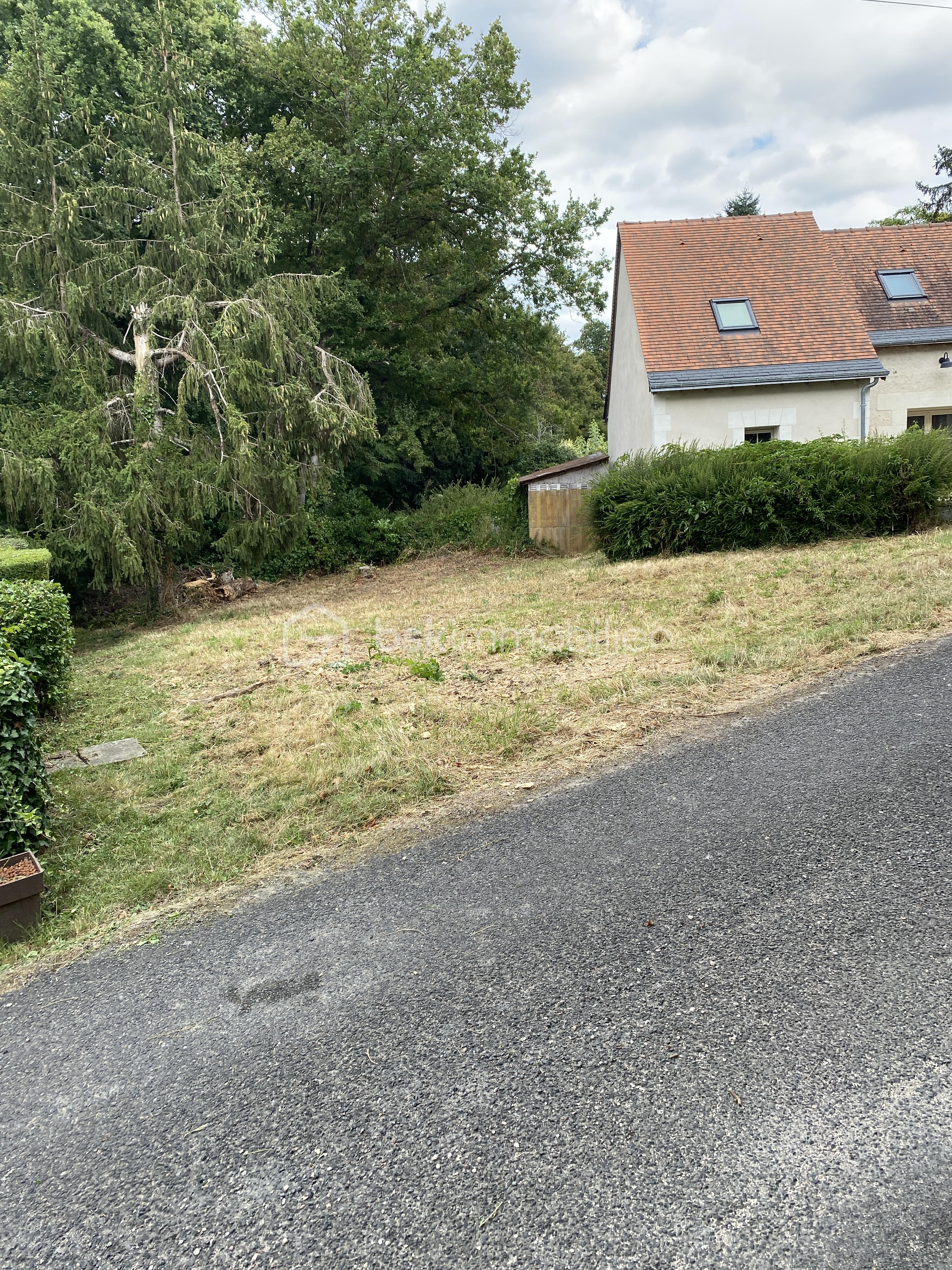 Terrain de 820 m² - IMG_0957.JPG