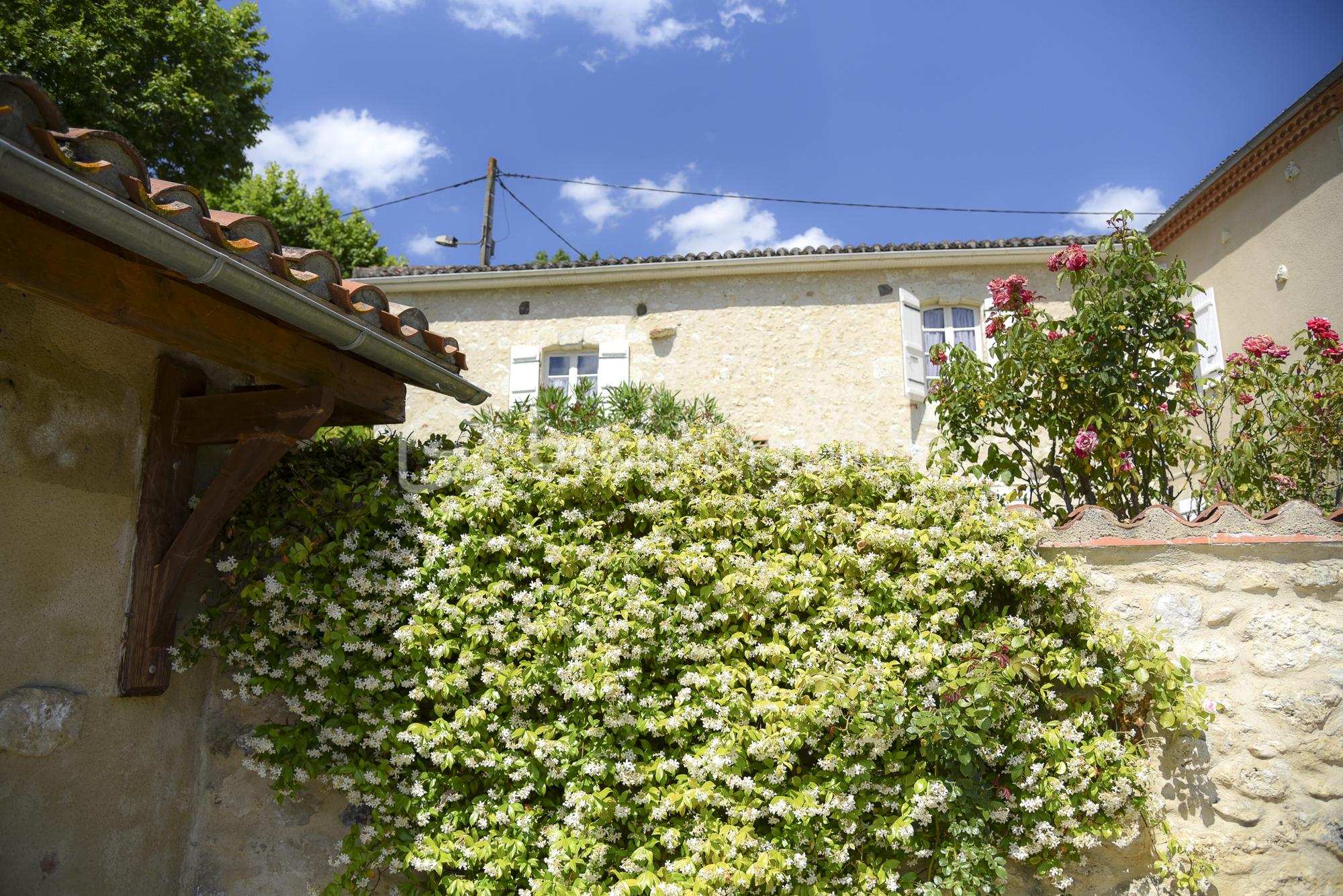 DSC_0807.jpg