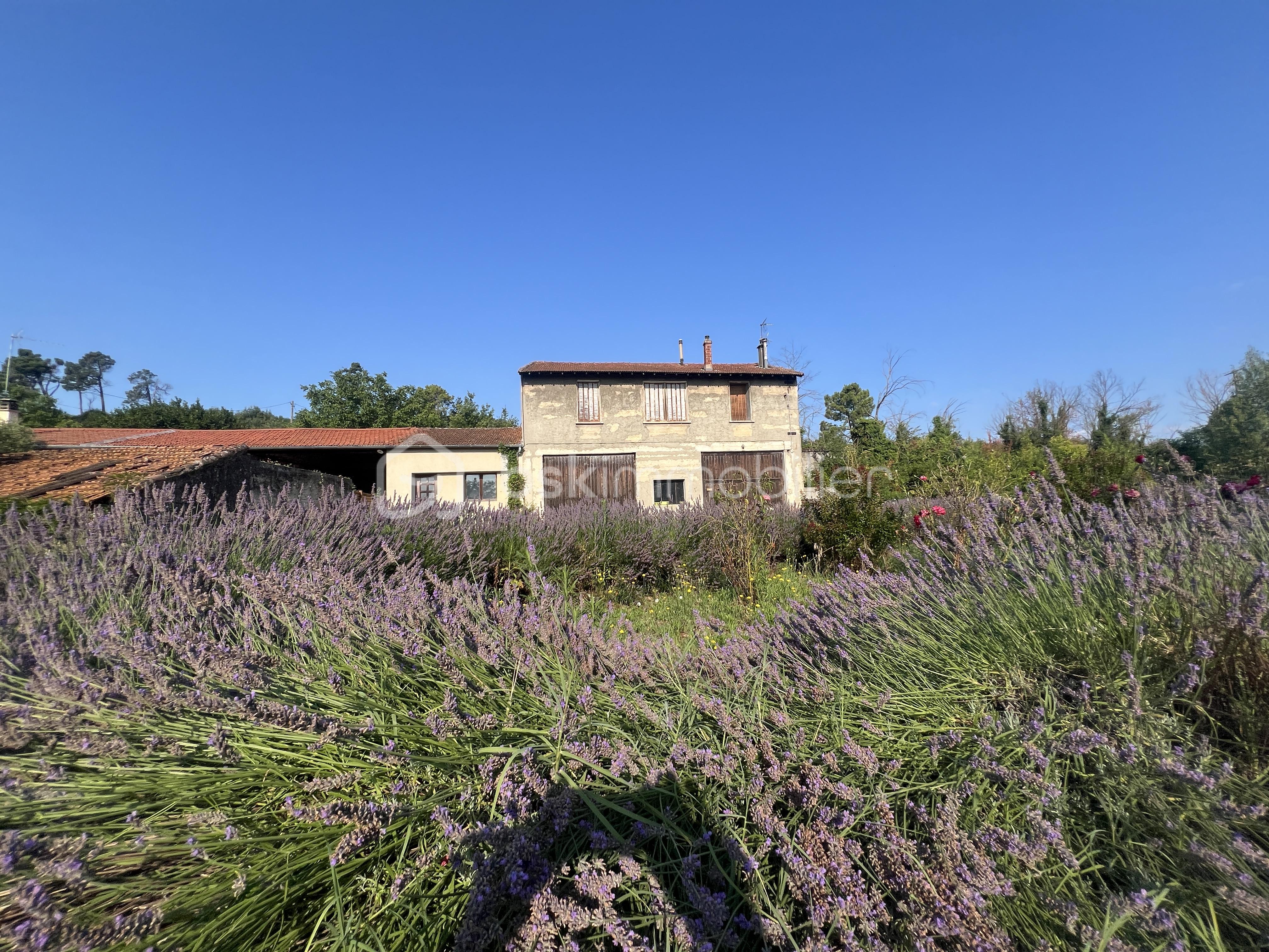 Maison de 115 m² - IMG_0534 2.JPG