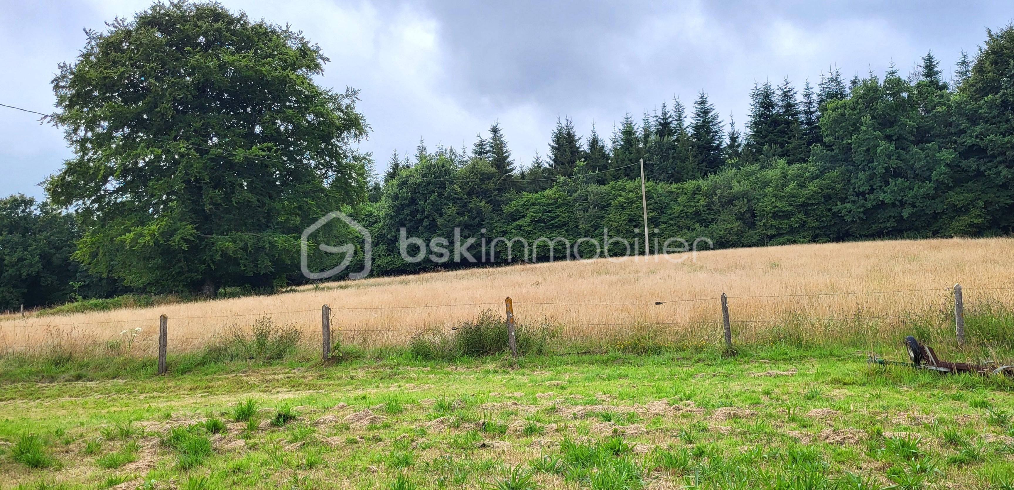 Maison longere de 165 m² - HUET Roger vue sur foret 3.jpg