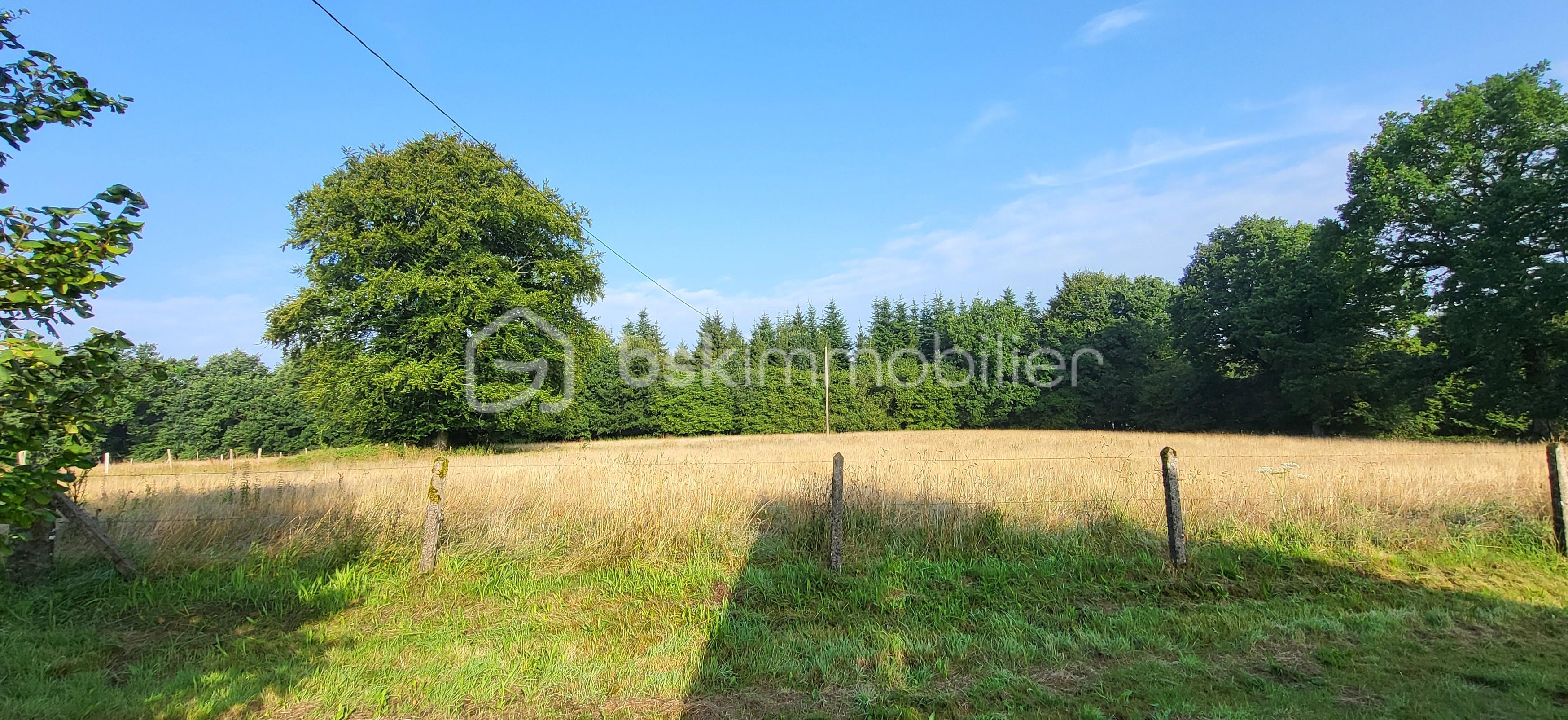 Maison longere de 165 m² - HUET Roger vue sur foret 1.jpg
