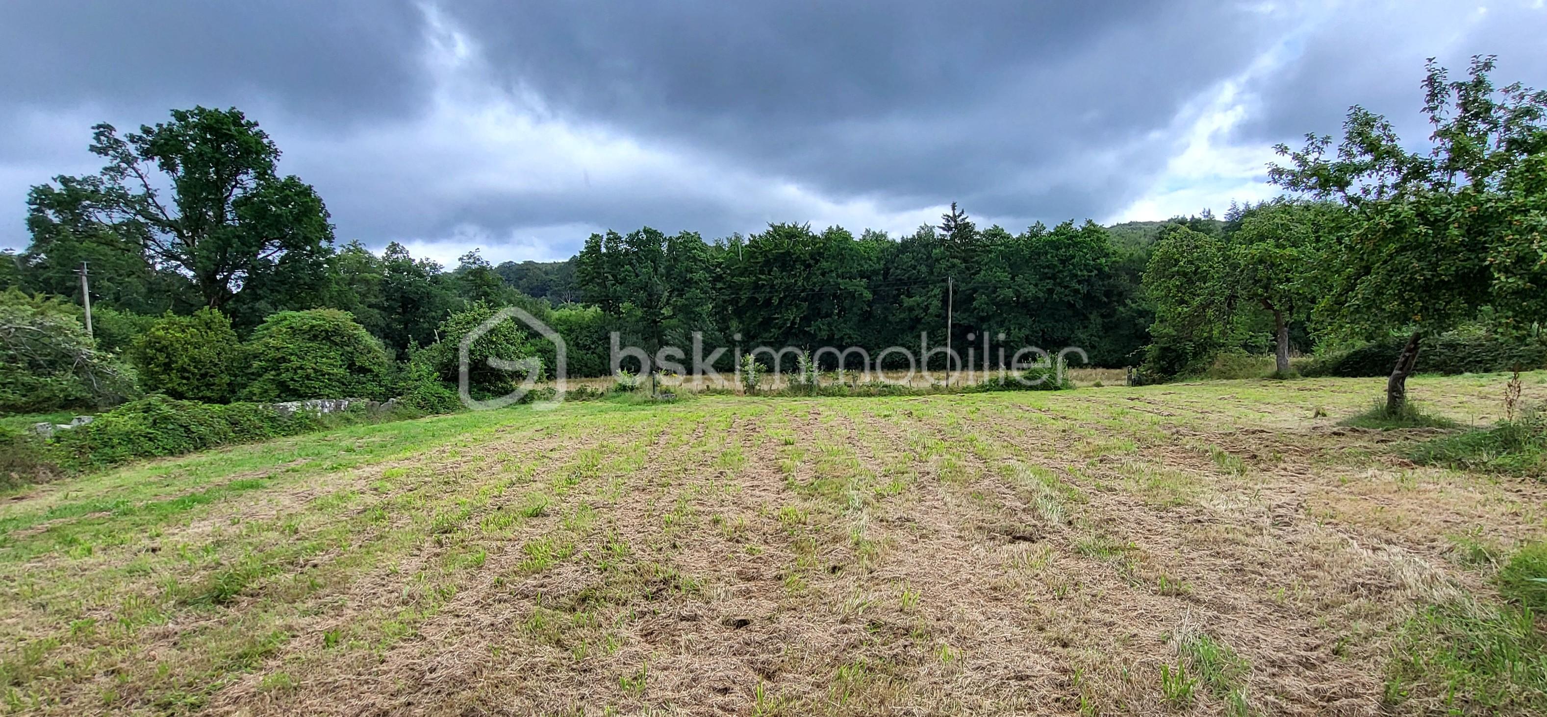 Maison longere de 165 m² - HUET Roger vue sur foret 2 ple .jpg
