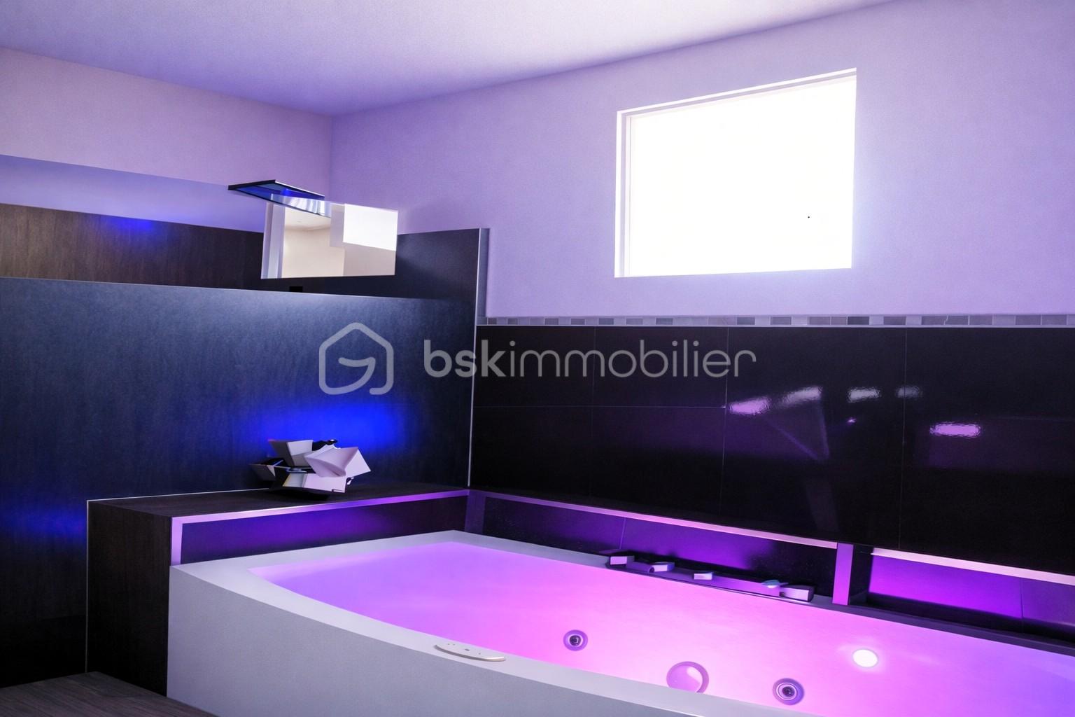 Propriete de 350 m² - sdb balneo.jpg