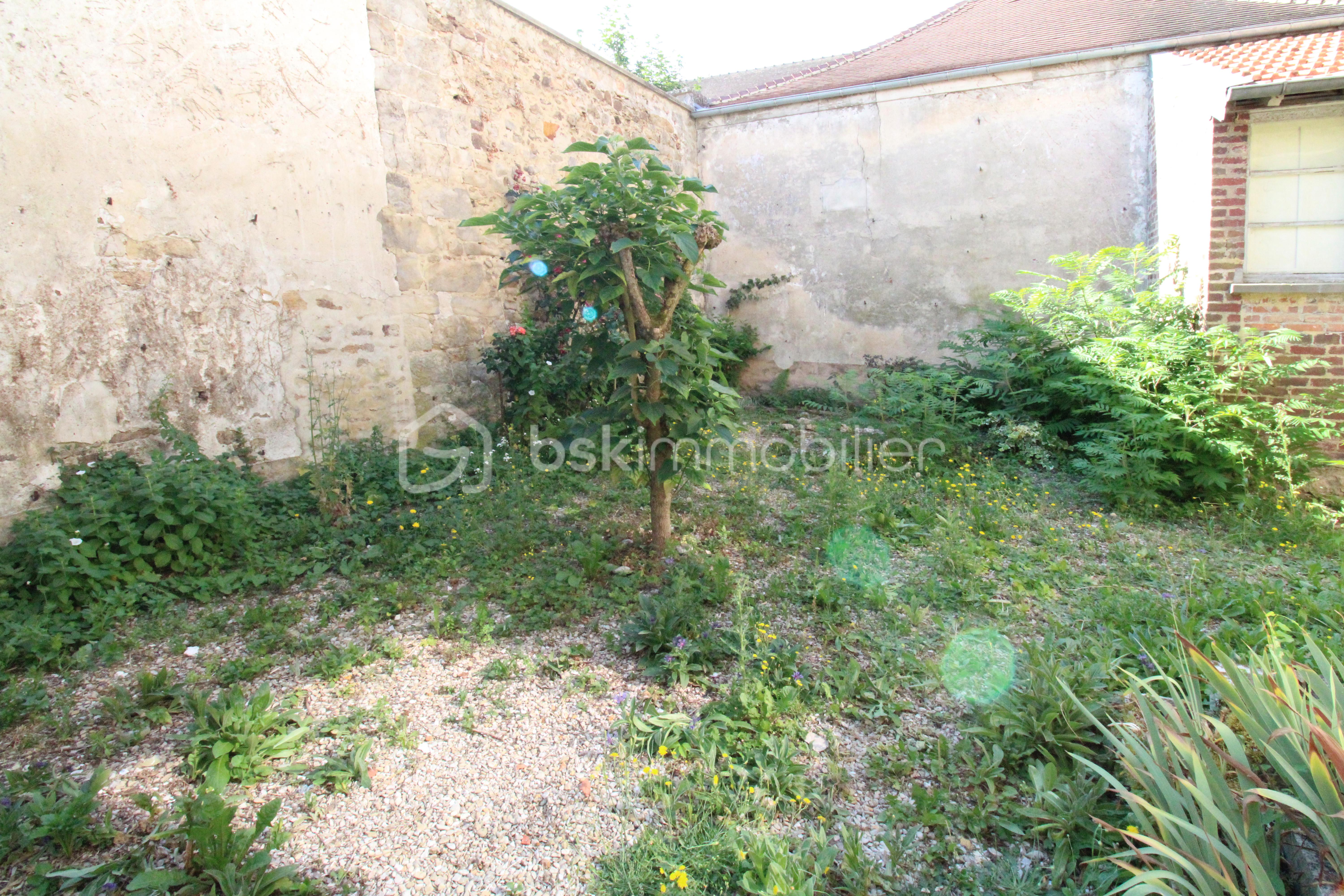 JARDIN.jpg