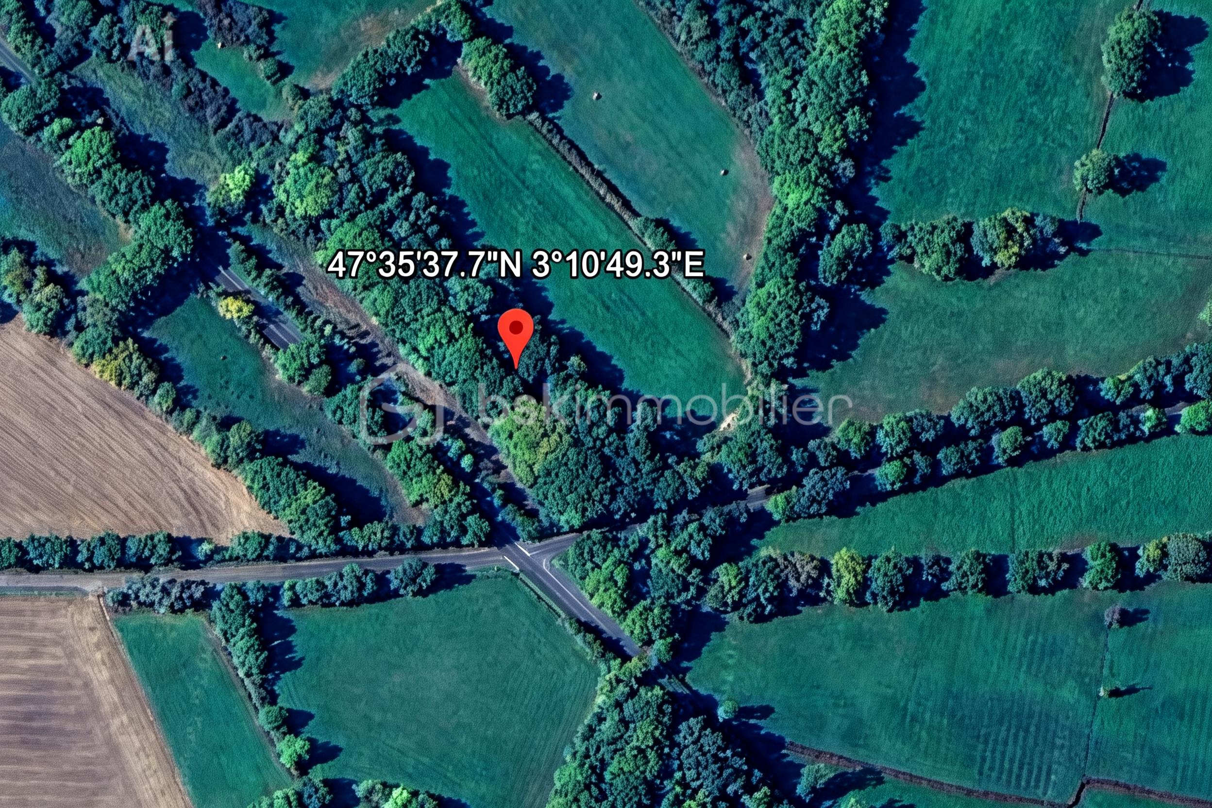 1000009472.jpg