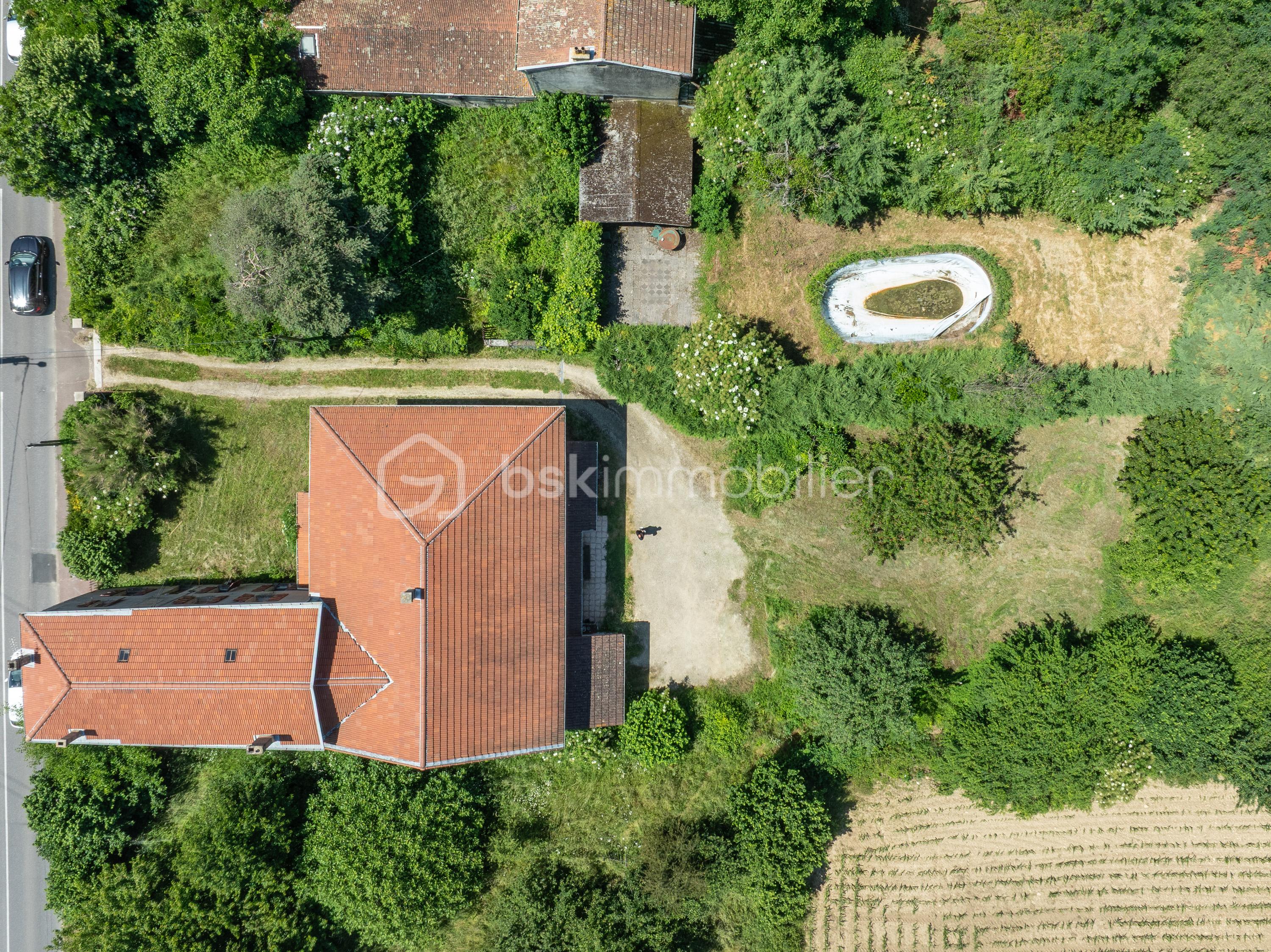 DJI_0879.jpg