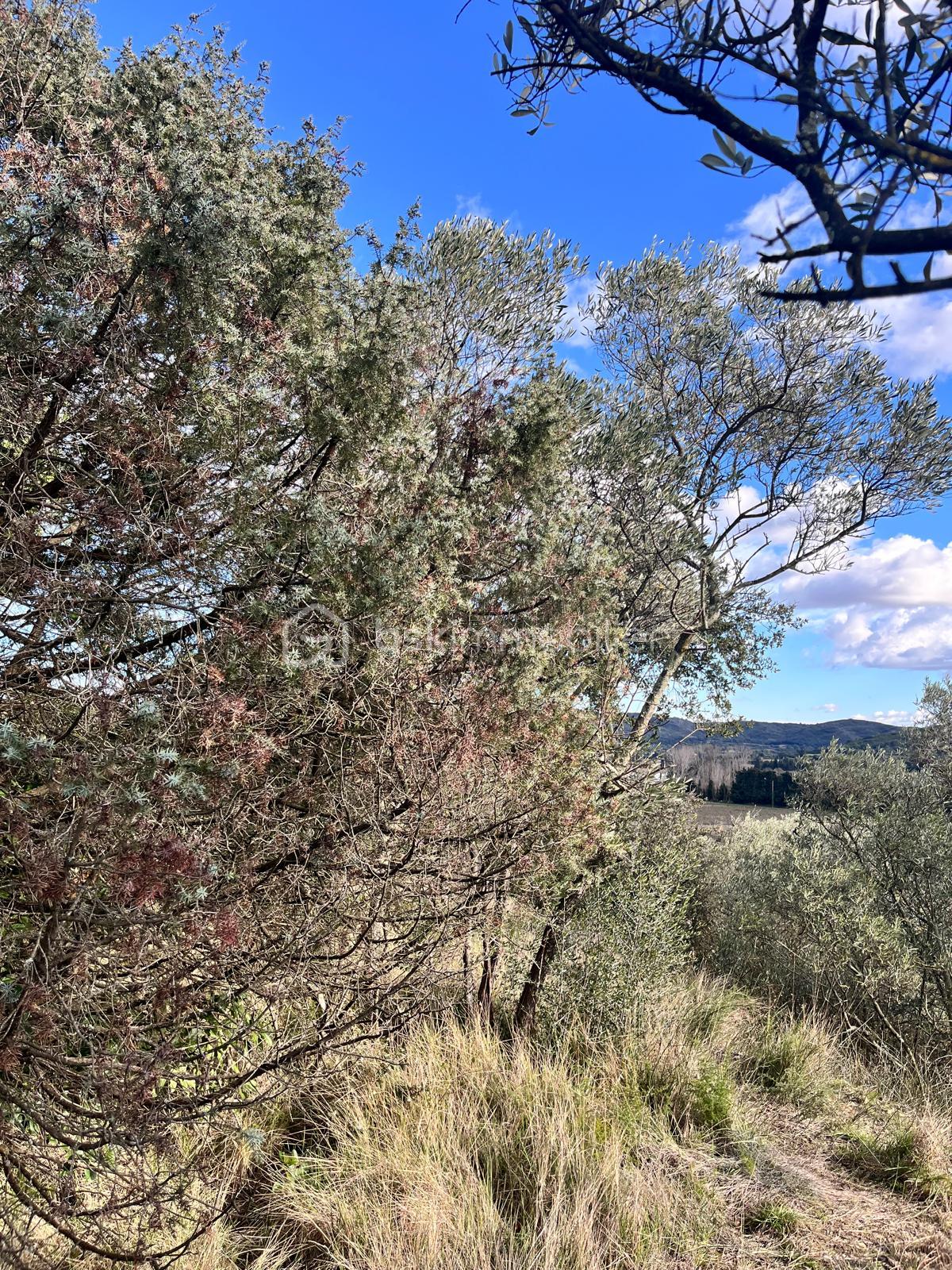 Terrain de 854 m² - IMG-20260207-WA0021.jpg