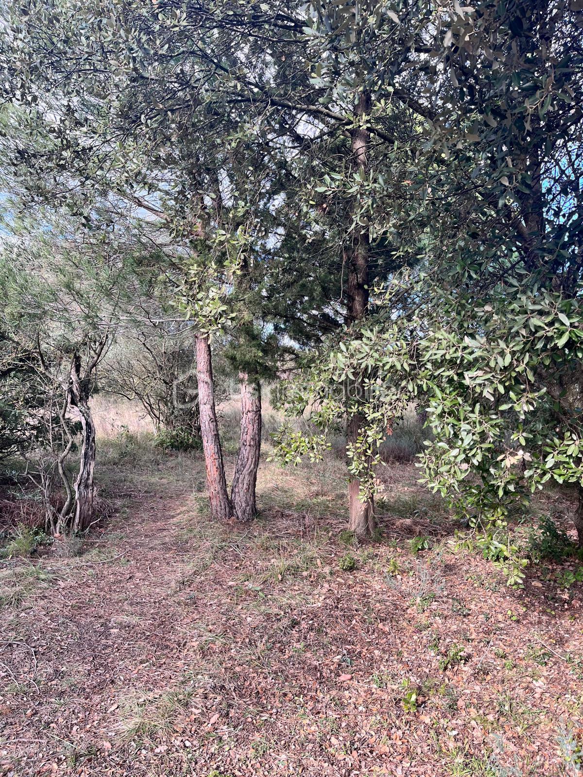 Terrain de 854 m² - IMG-20260207-WA0015.jpg