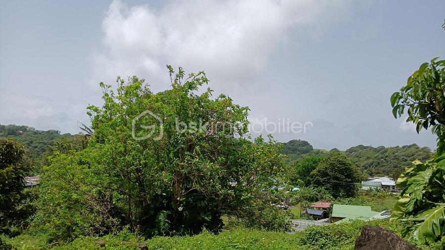 Terrain de 466 m² - 841 et 466m² vue maisons colline.jpg