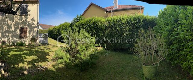 IMG_2959.jpeg