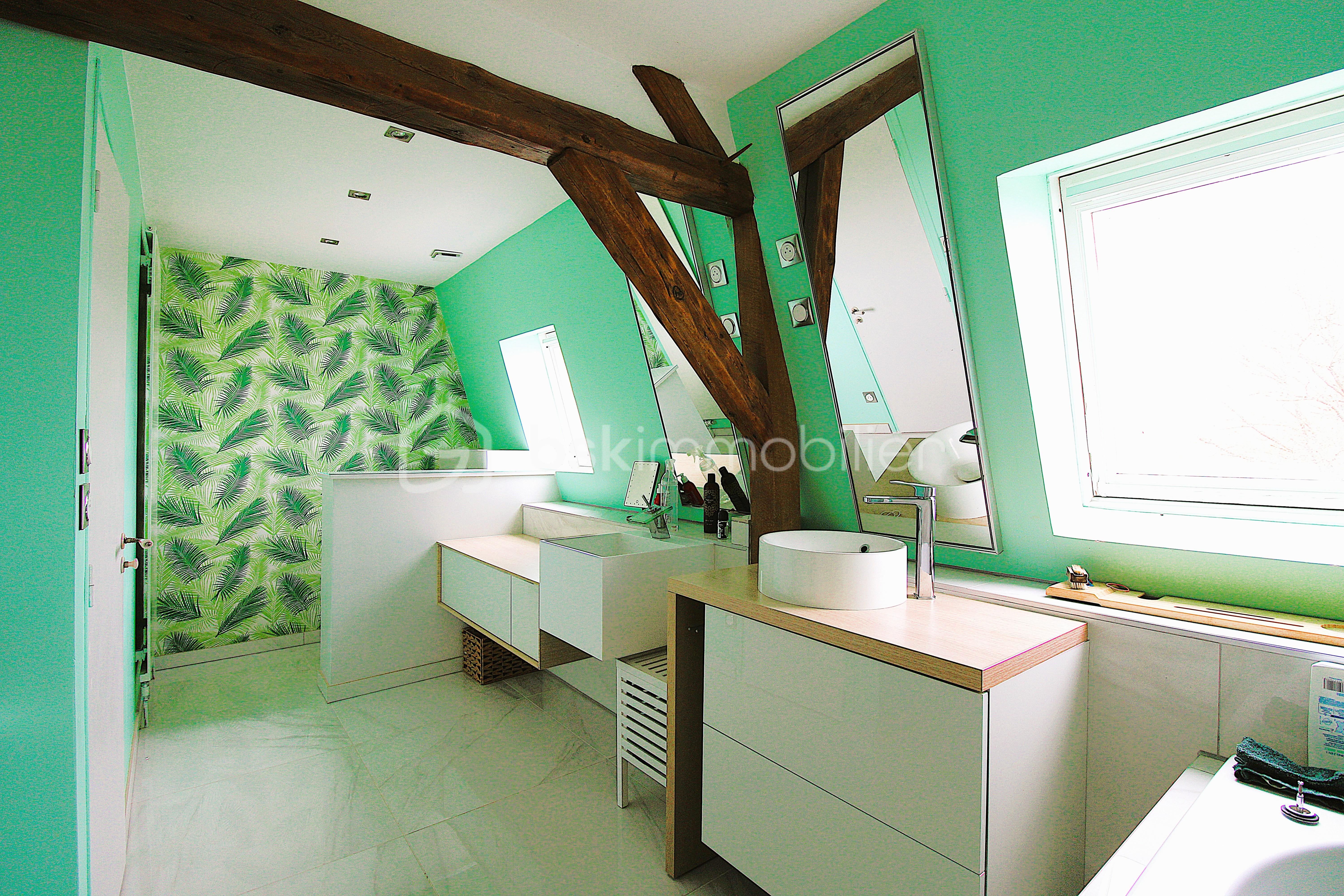 SALLE DE BAINS modifiée 2.JPG