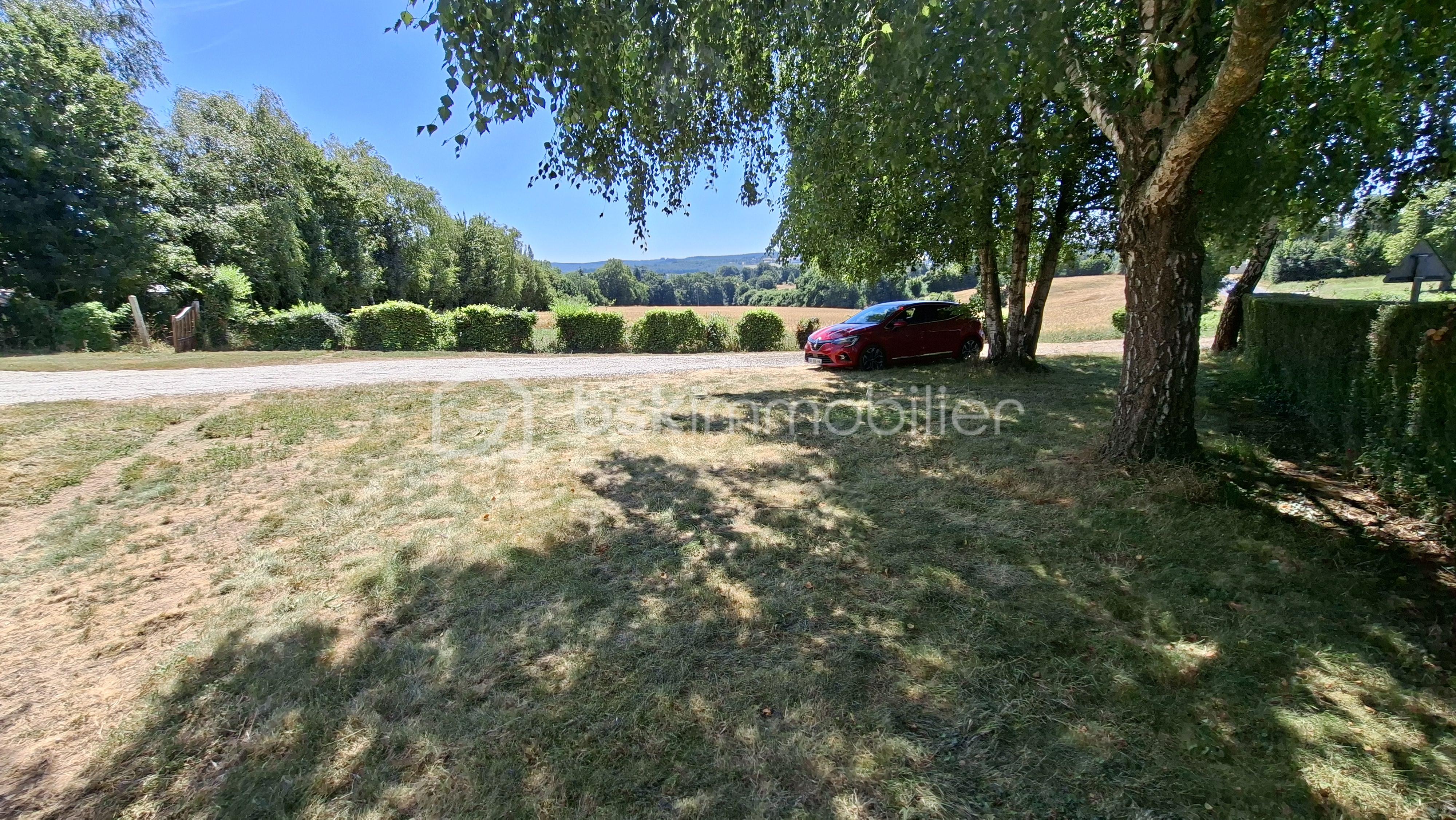 ROB TERRAIN OMBRE ET BOULEAUX.jpg