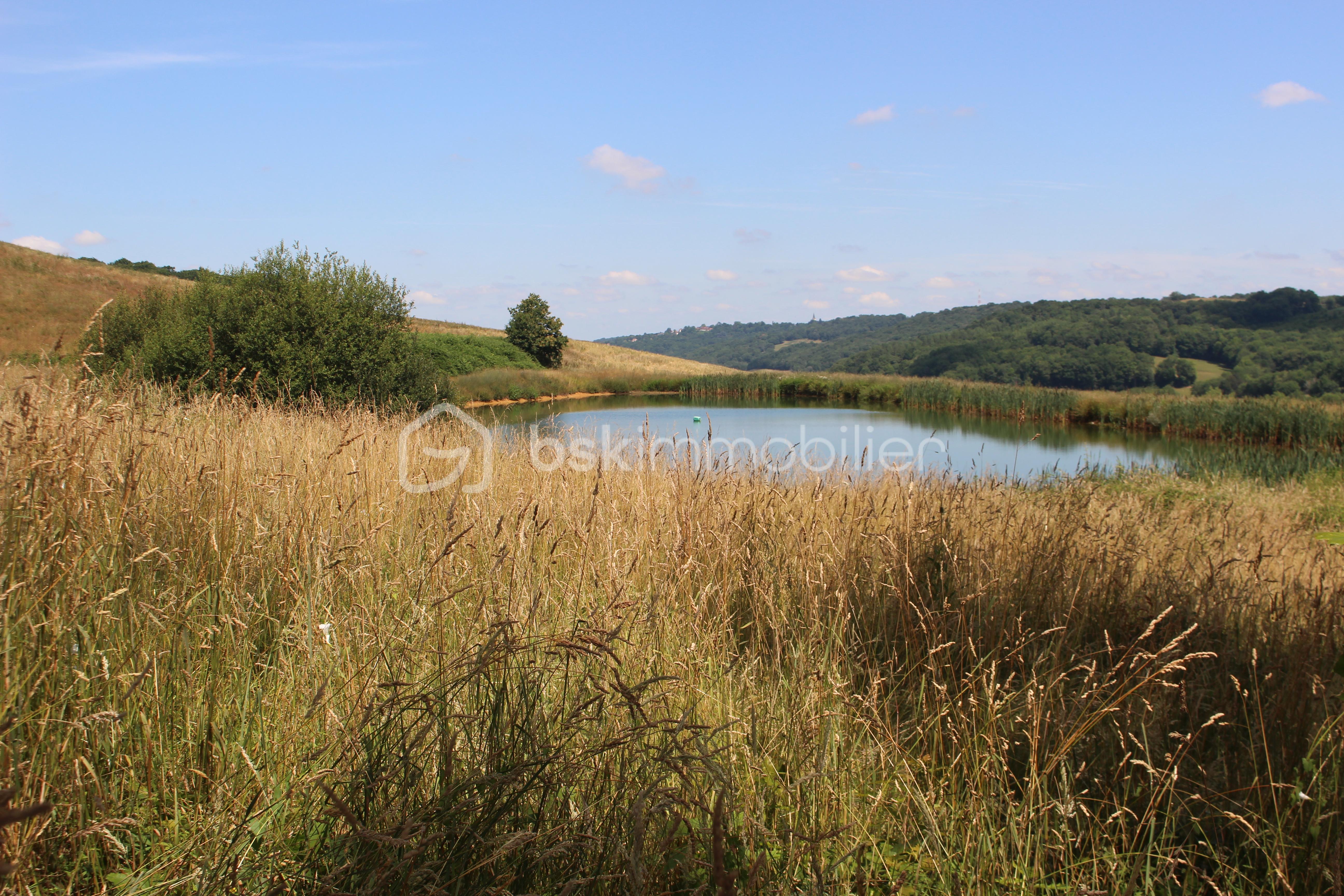 Maison de 230 m² - IMG_5365.JPG