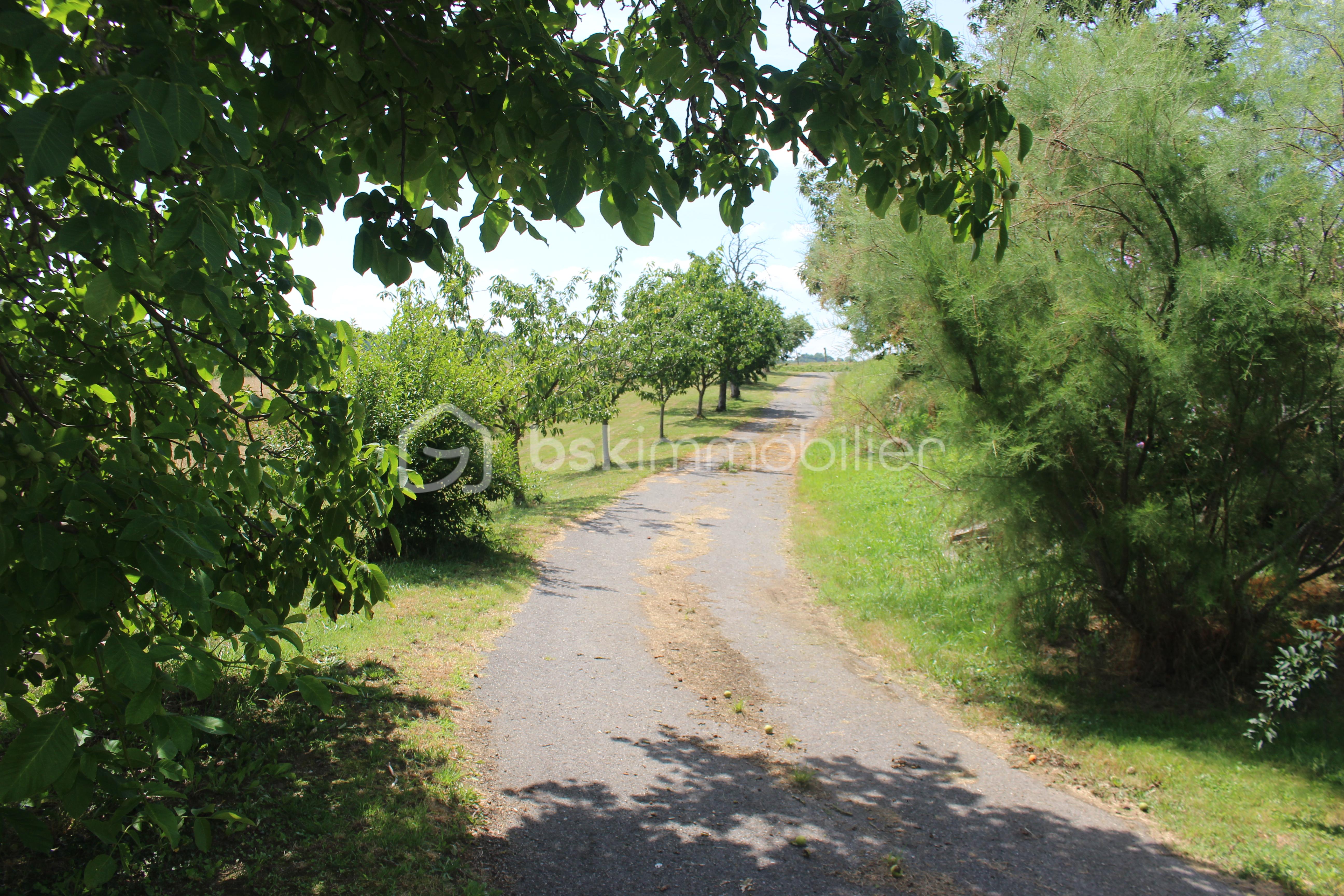 Maison de 230 m² - IMG_5368.JPG