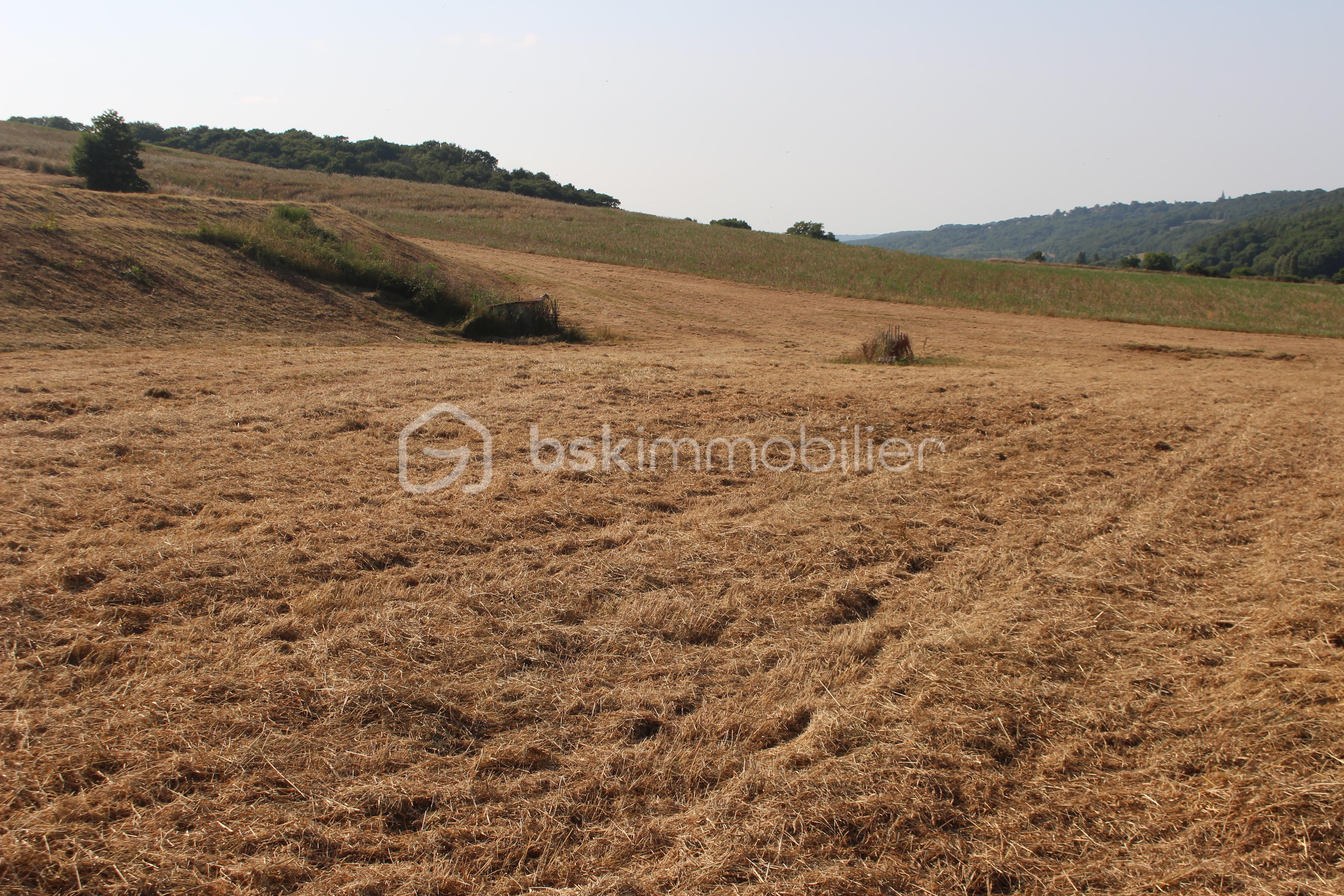 Maison de 230 m² - IMG_5392.JPG