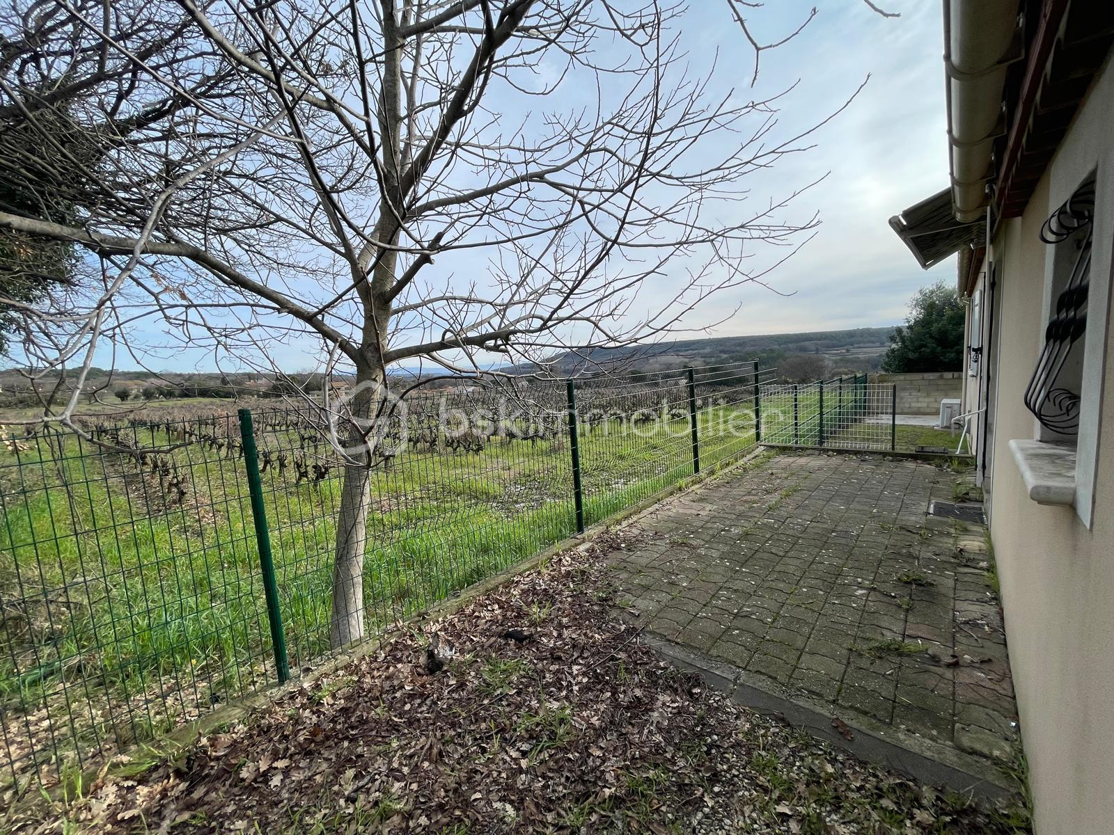 WhatsApp Image 2026-02-19 at 15.23.31(13).jpeg