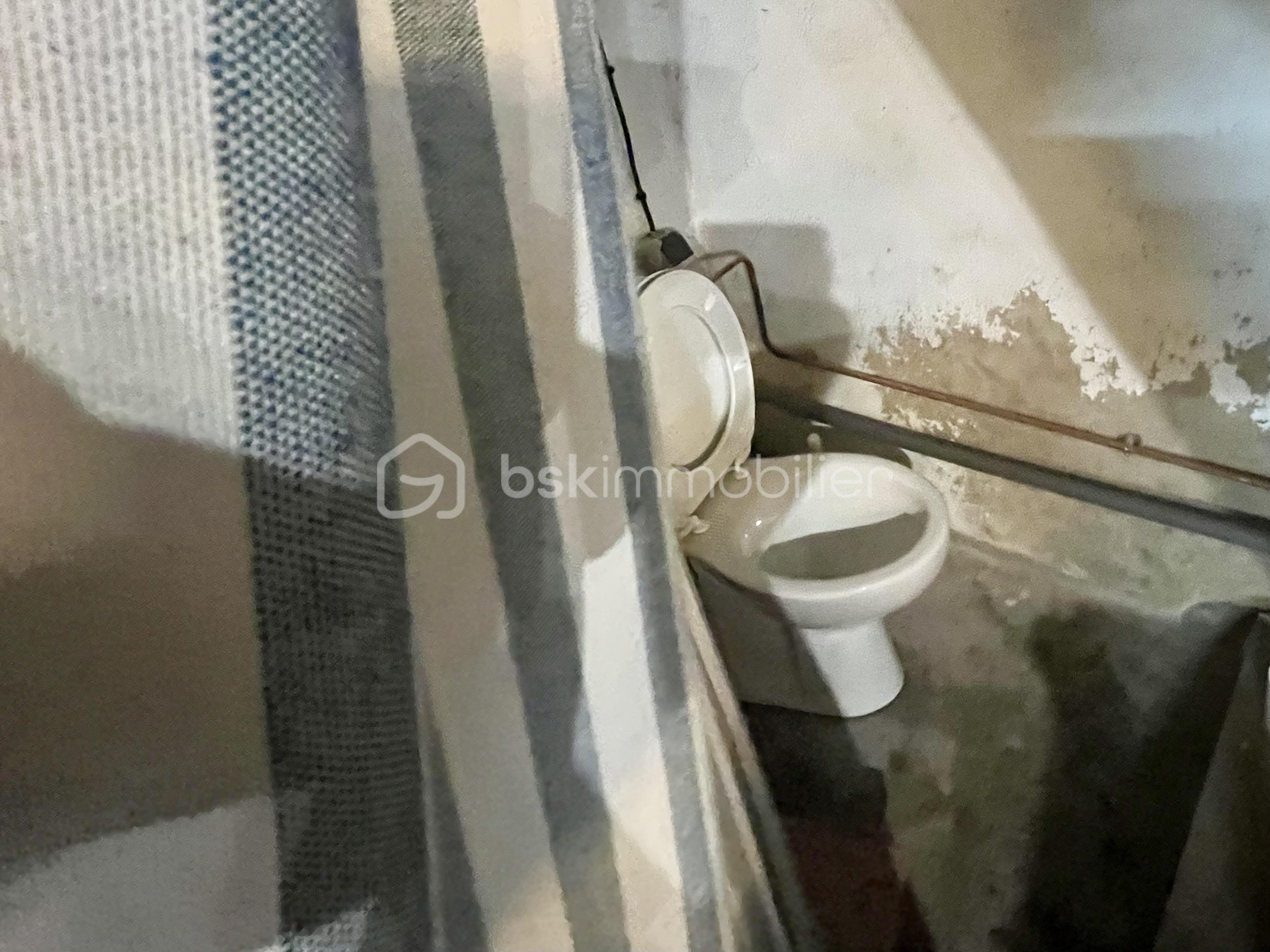Immeuble de 56,60 m² - 10-WC.jpeg