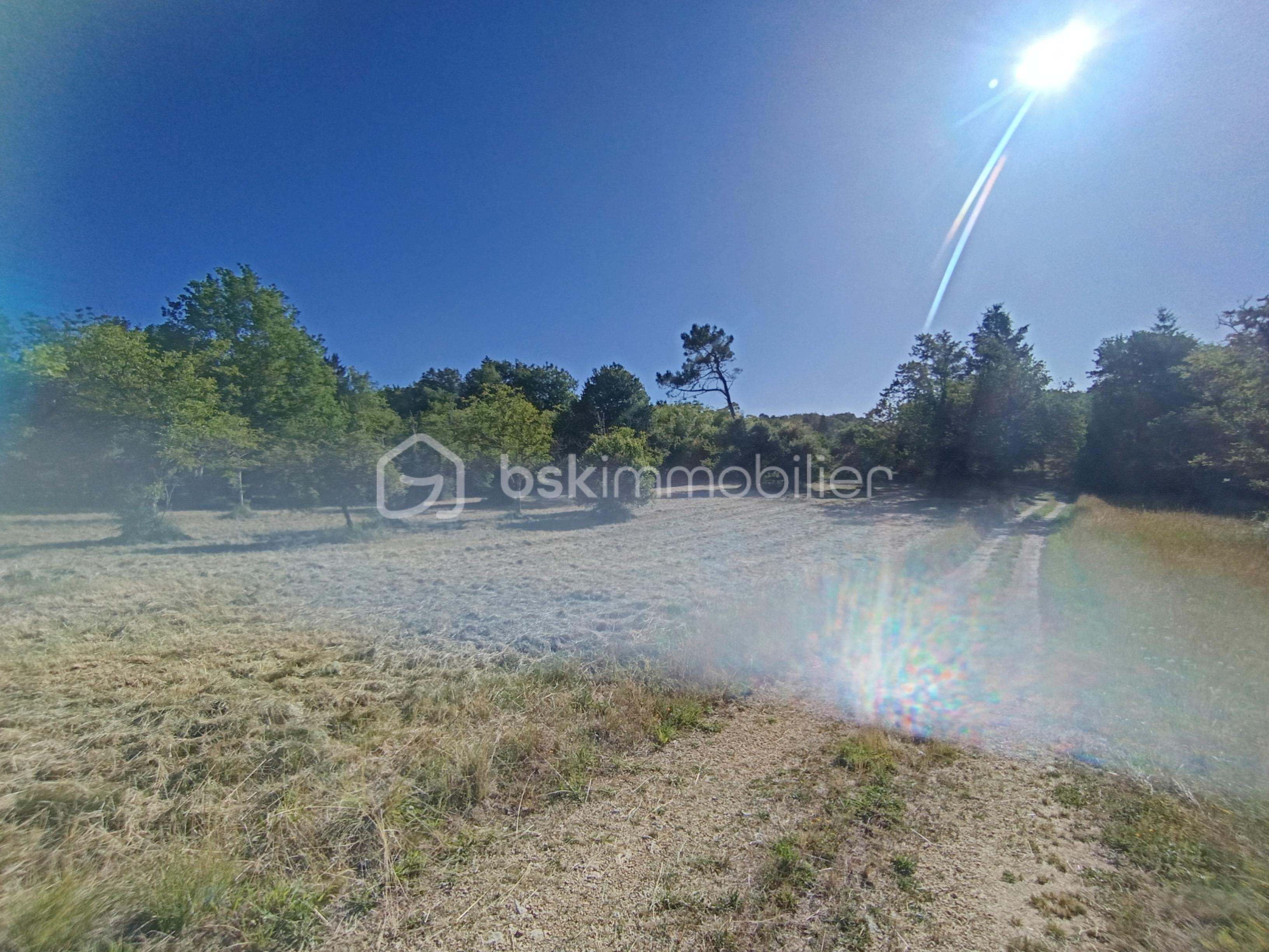 IMG_20260615_091128.jpg