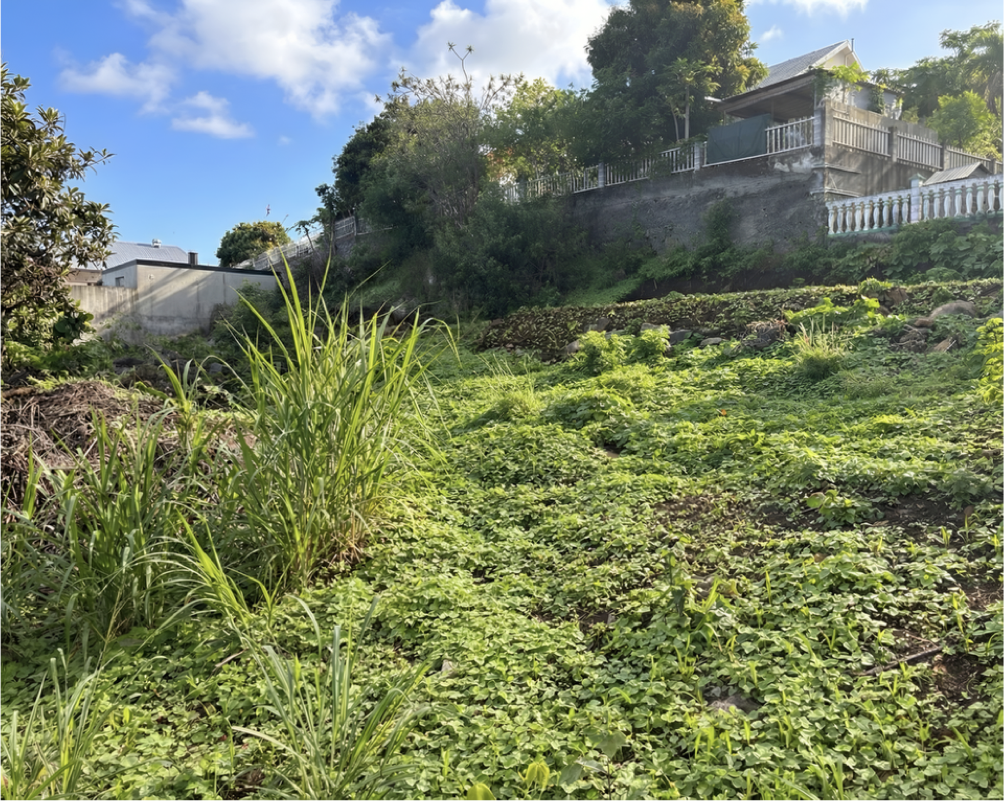 Terrain de 776 m² - pixelcut-export 4.png