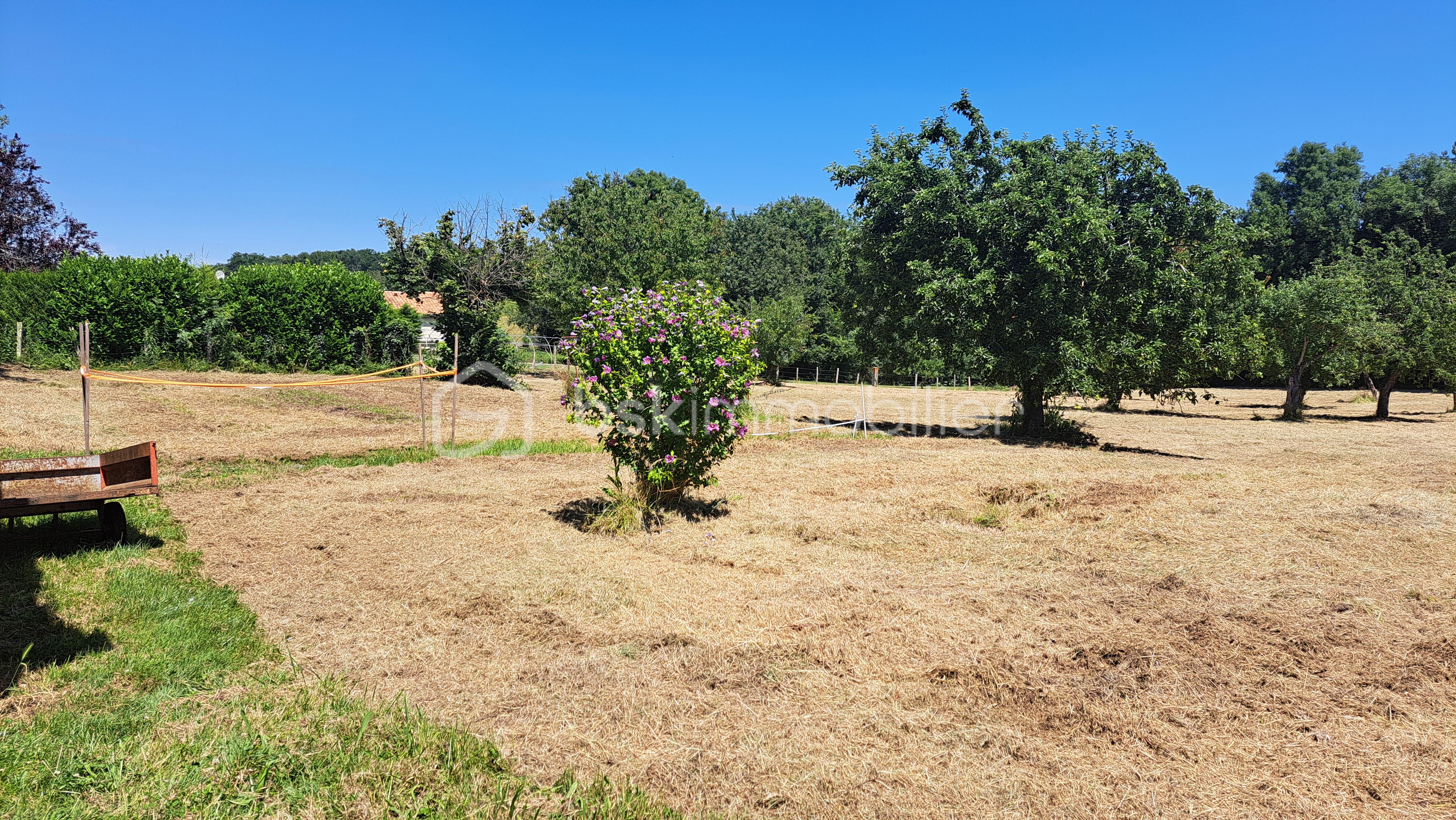 Maison de 140 m² - 20240708_135529.jpg
