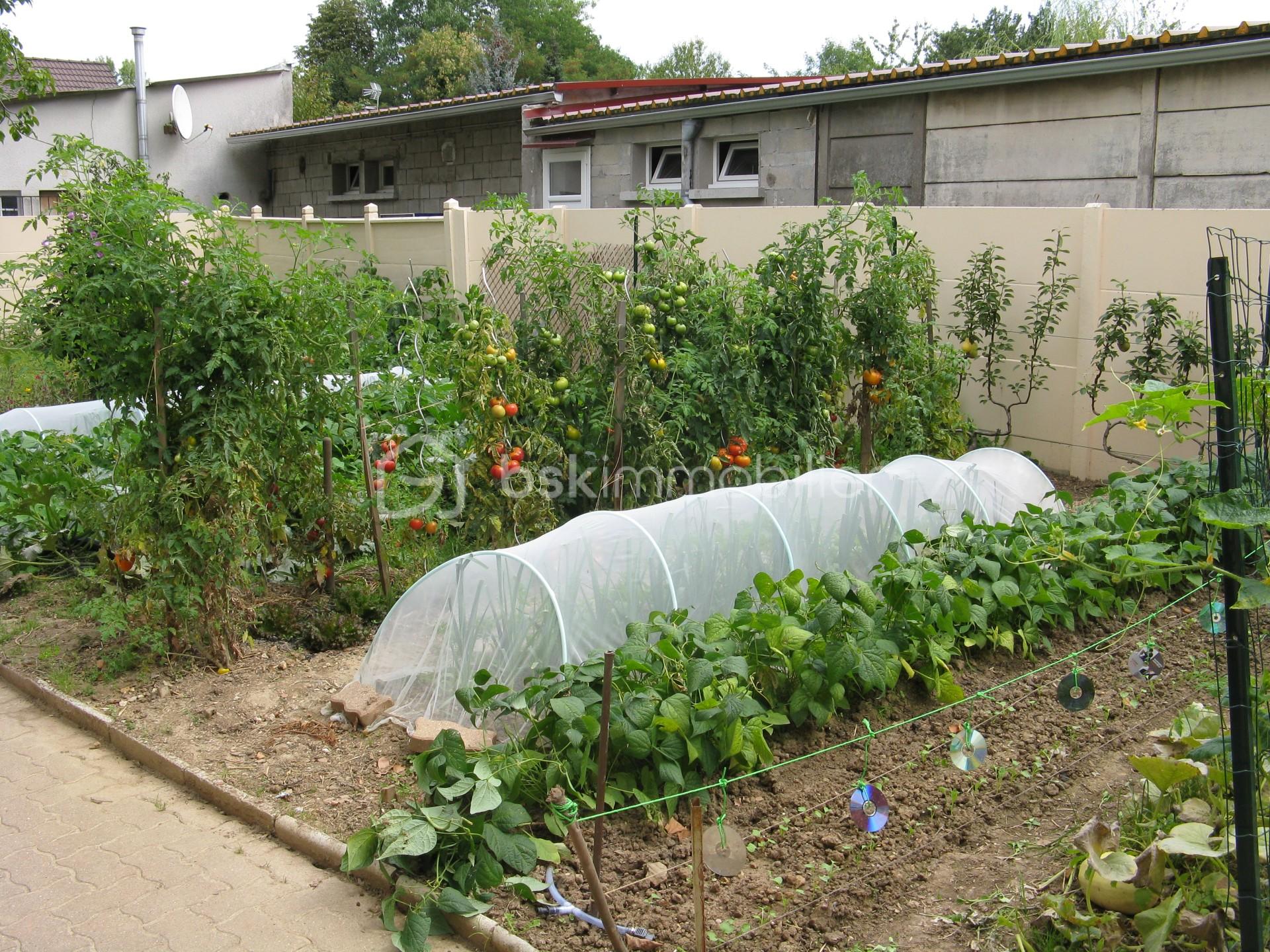 Potager.jpg