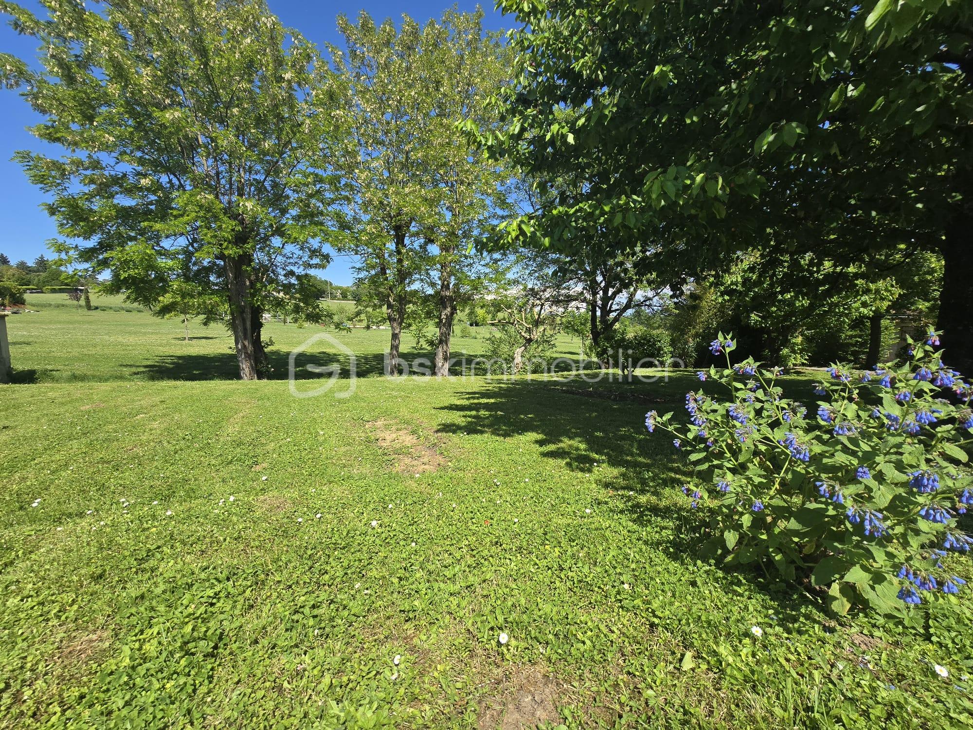 Terrain de 600 m² - terrain.jpg