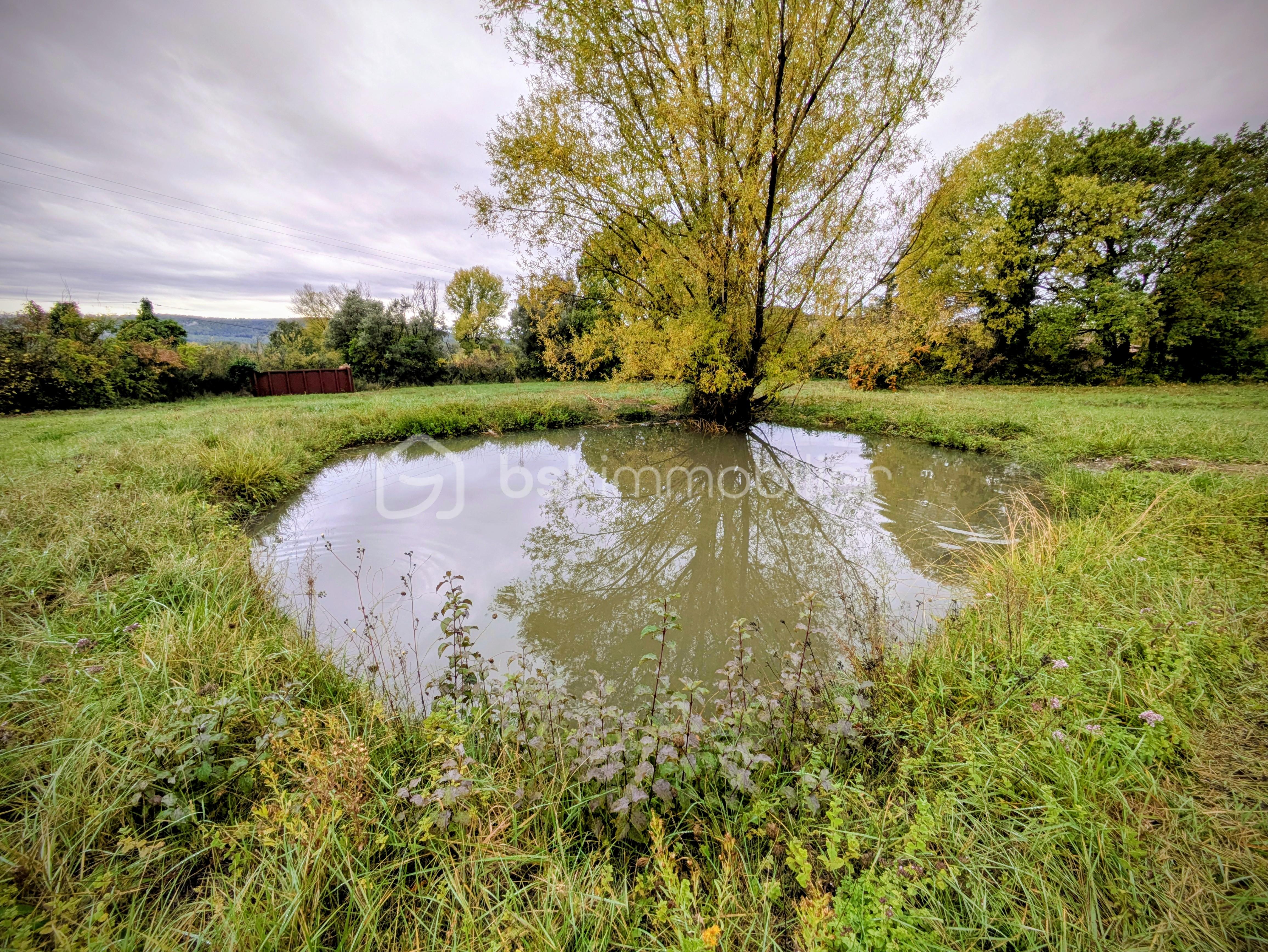 Maison traditionnelle de 91 m² - PXL_20251107_091013599.RAW-01.COVER~2.jpg