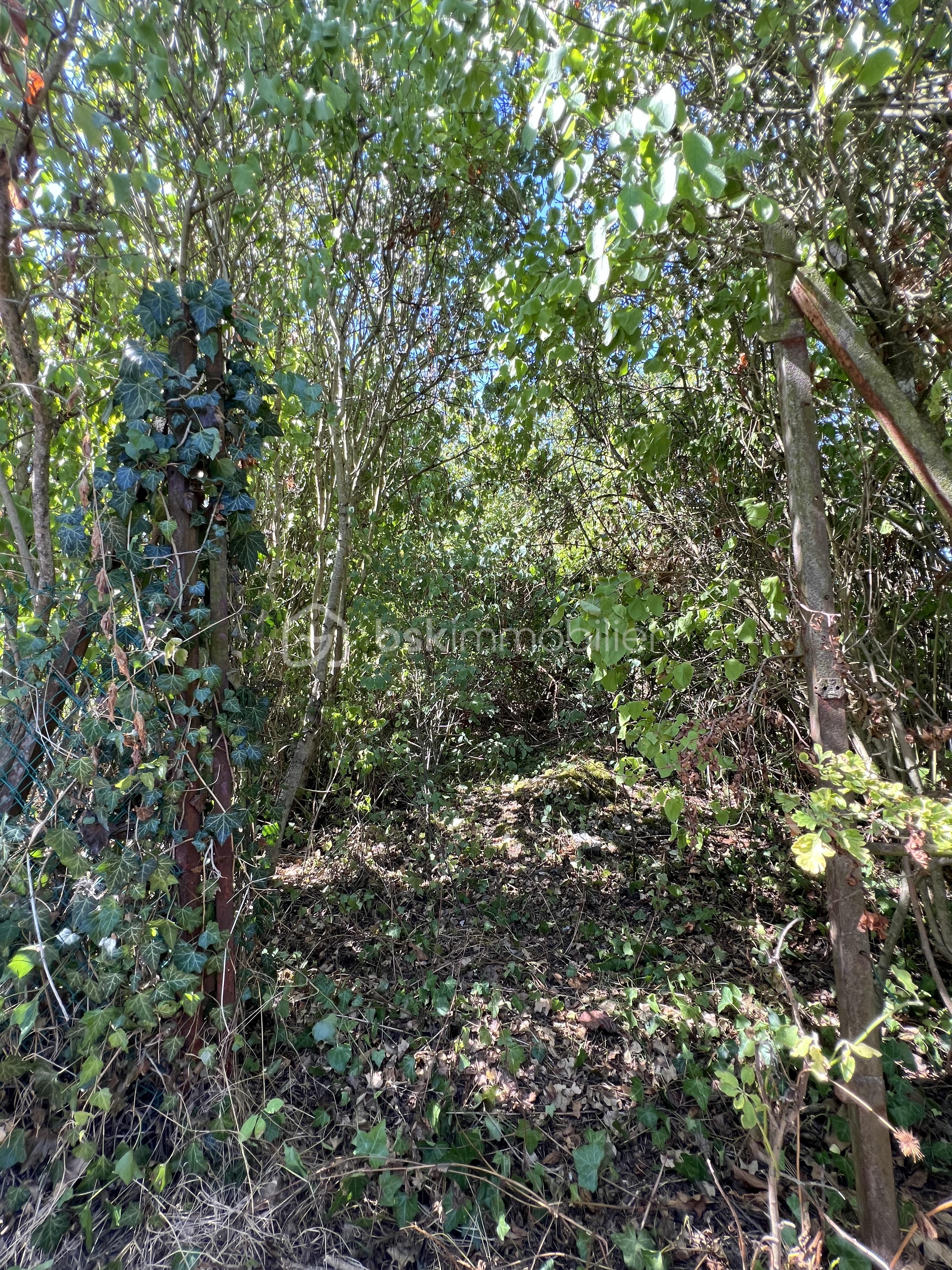 IMG_0366.jpeg