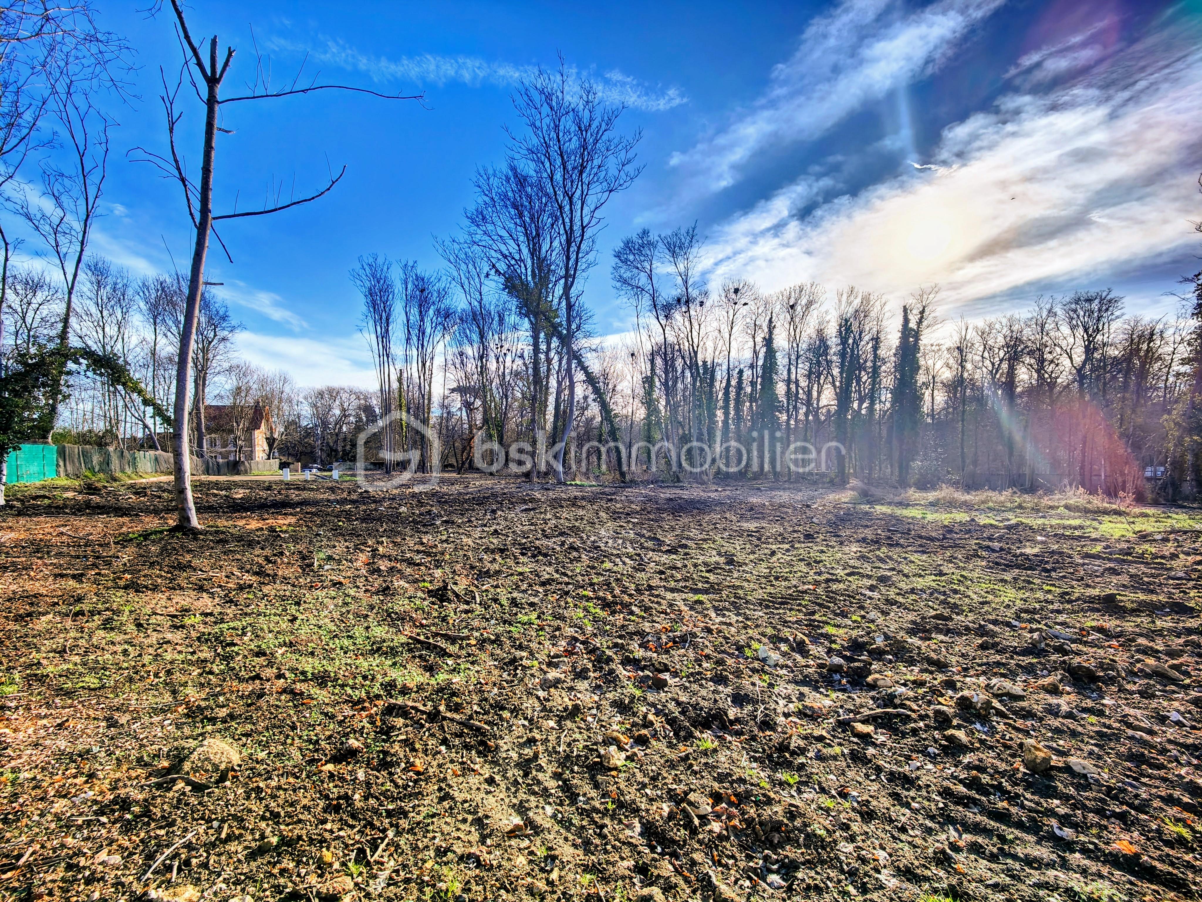 Terrain de 1 613 m² - IMG20260113113550~2.jpg