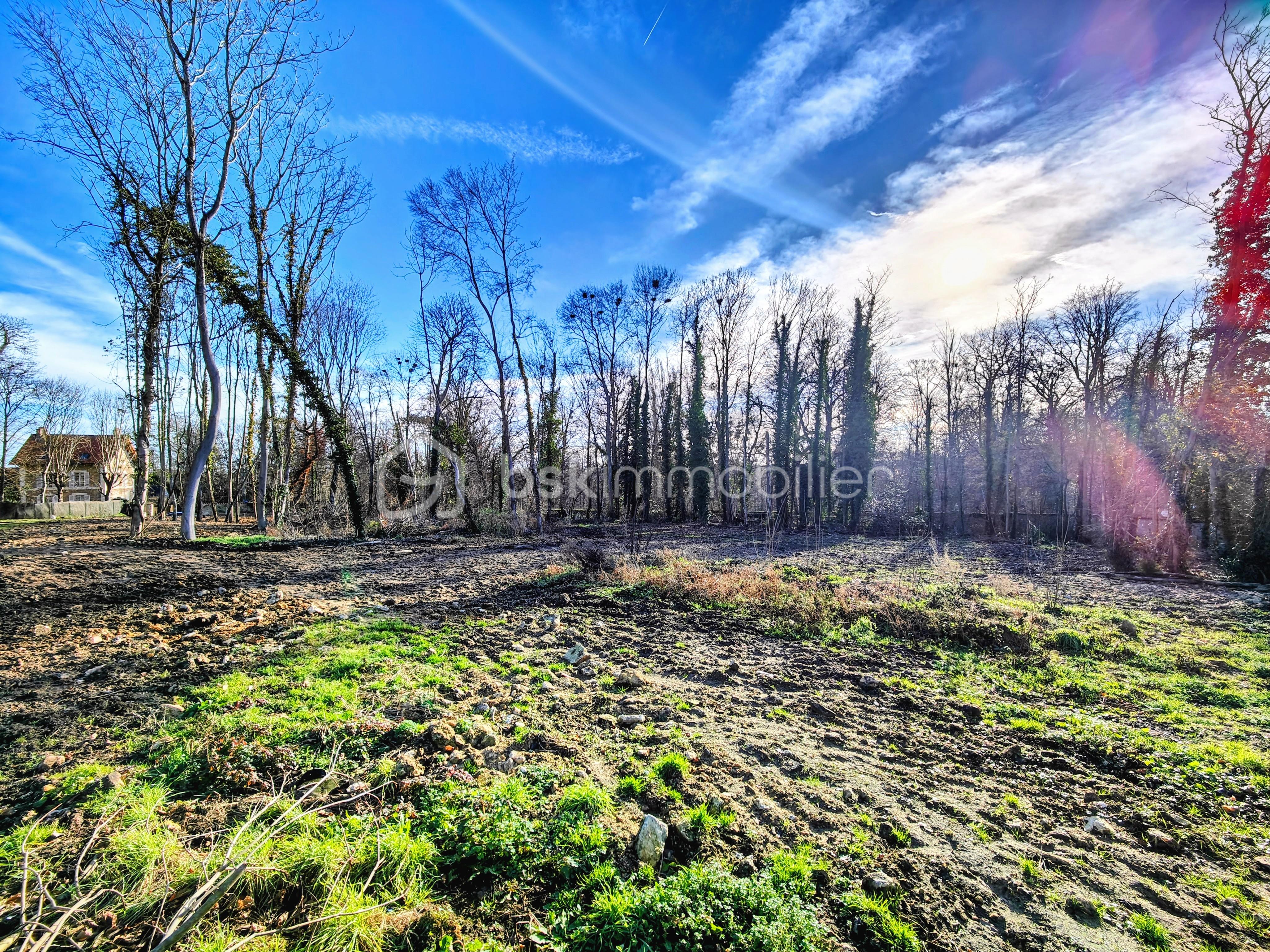 Terrain de 1 613 m² - IMG20260113113657~2.jpg