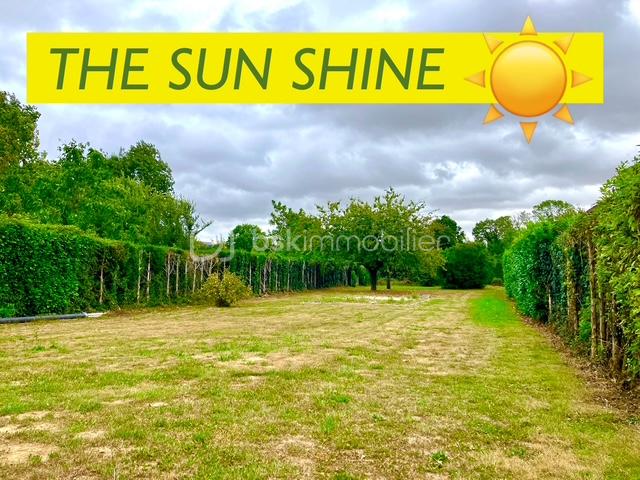 Maison de 206 m² - daisy the sun shine.jpg