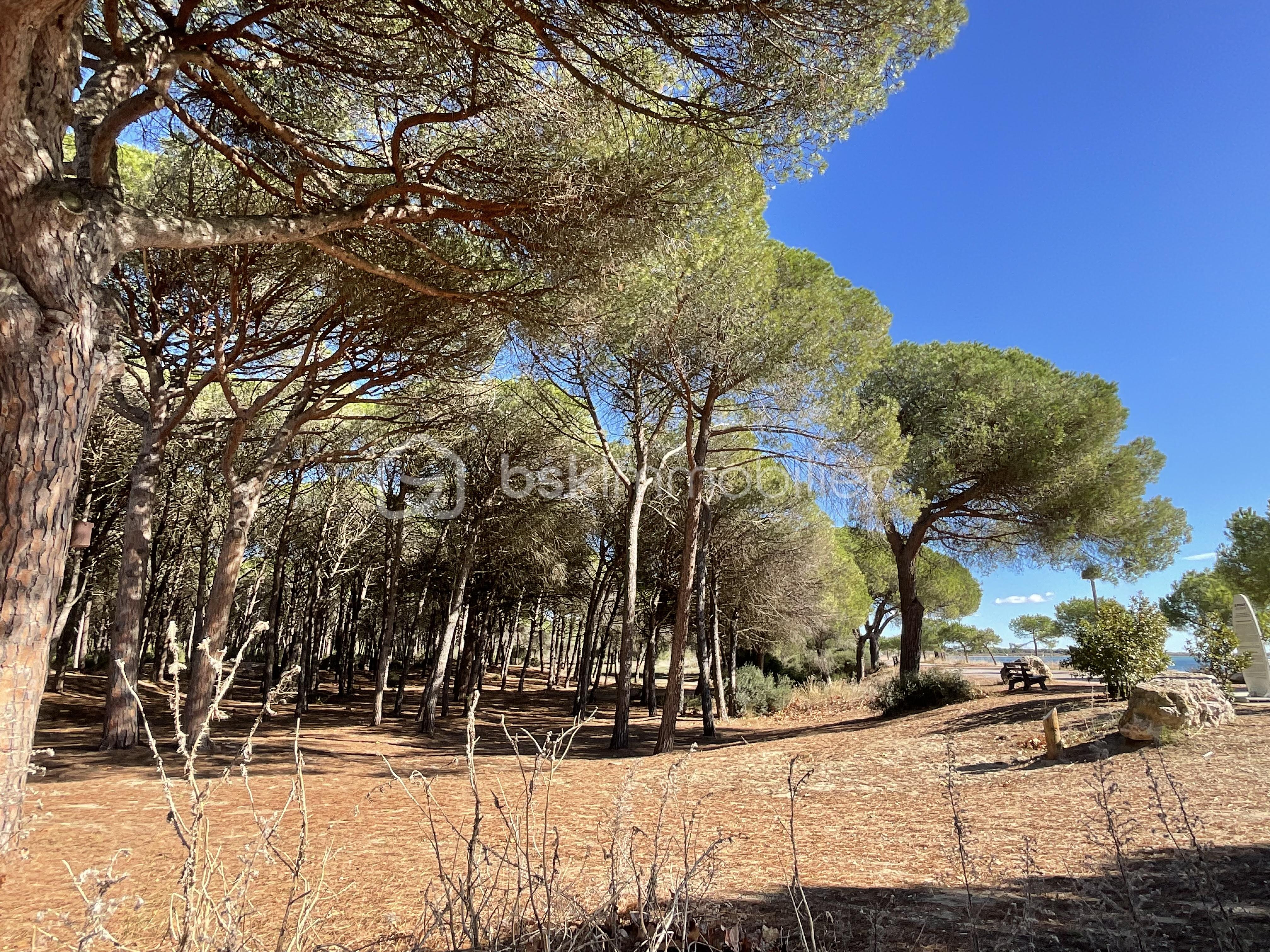 Appartement de 28,72 m² - IMG_0624.jpeg