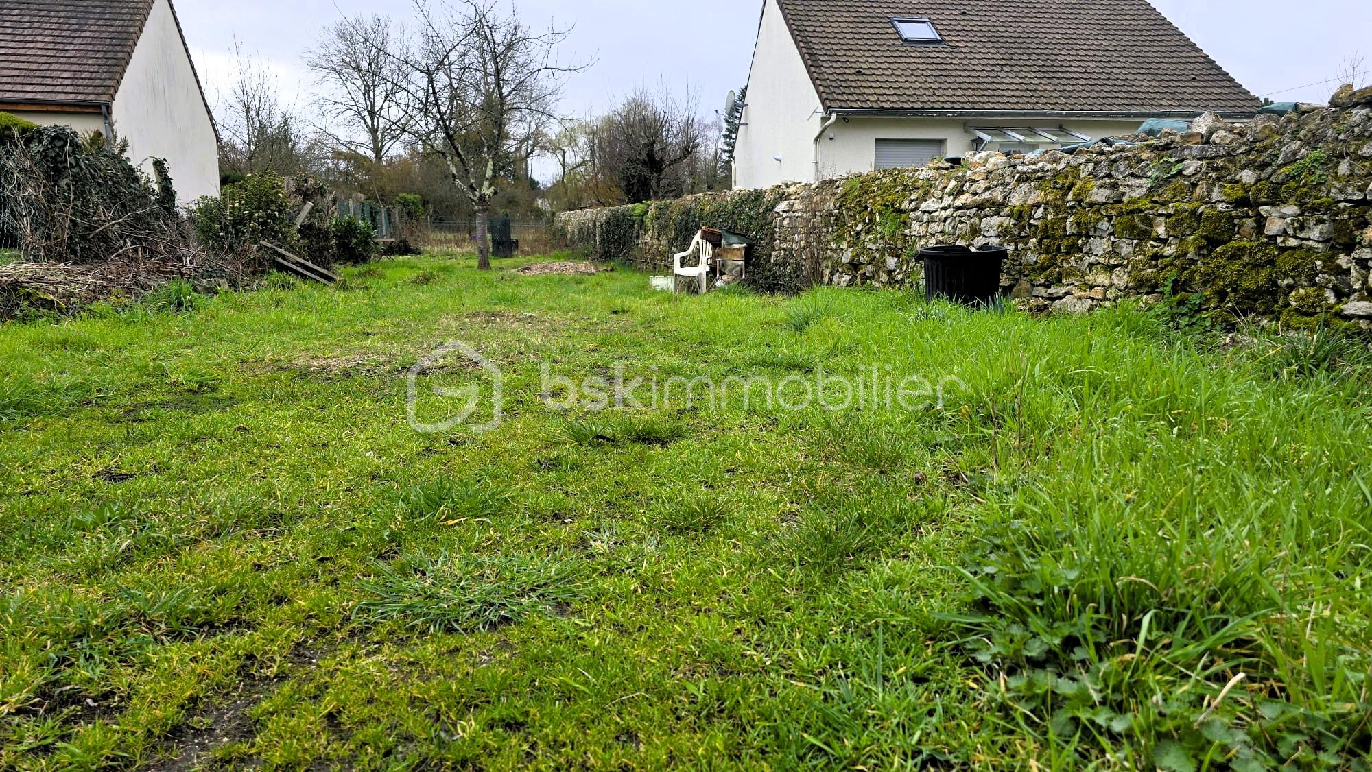JARDIN.jpeg