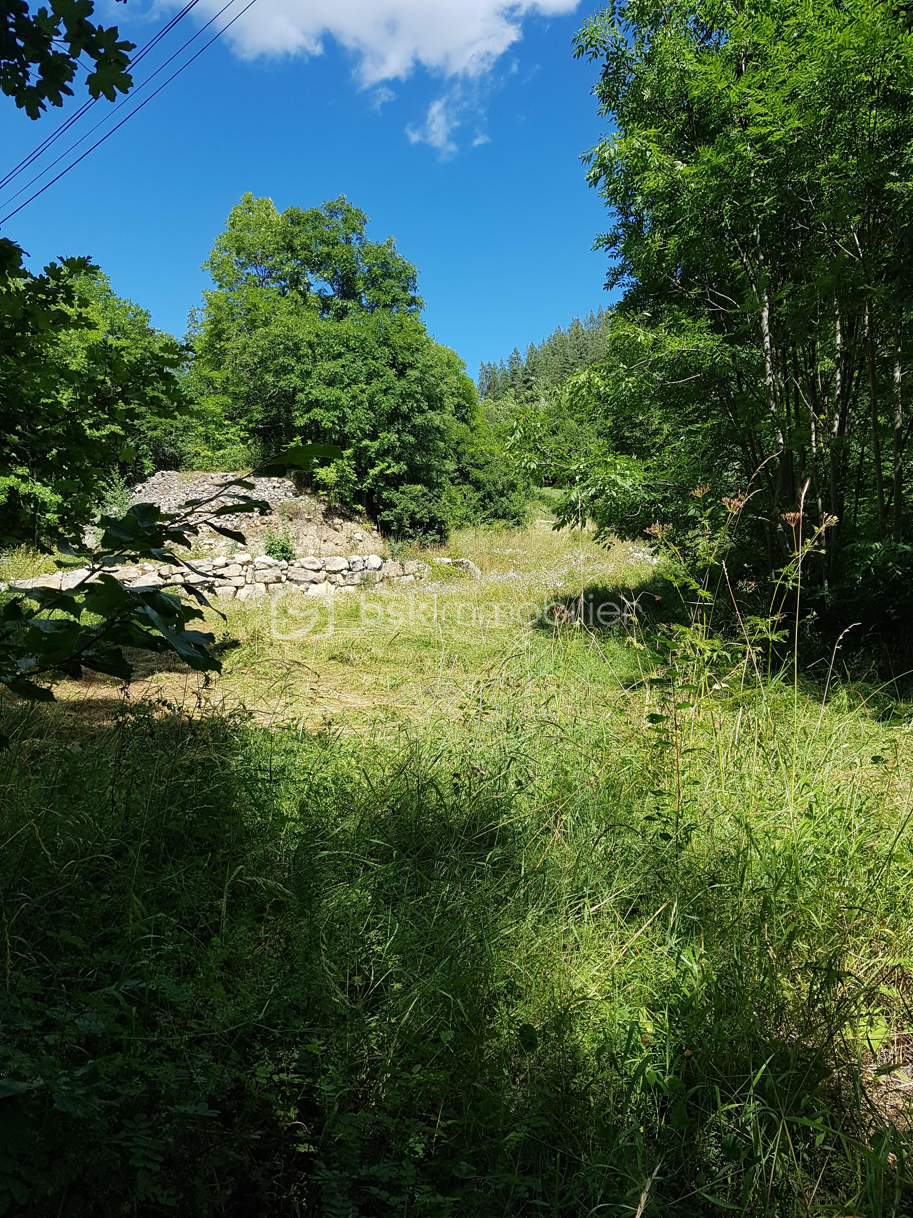 20210805_152610.jpg