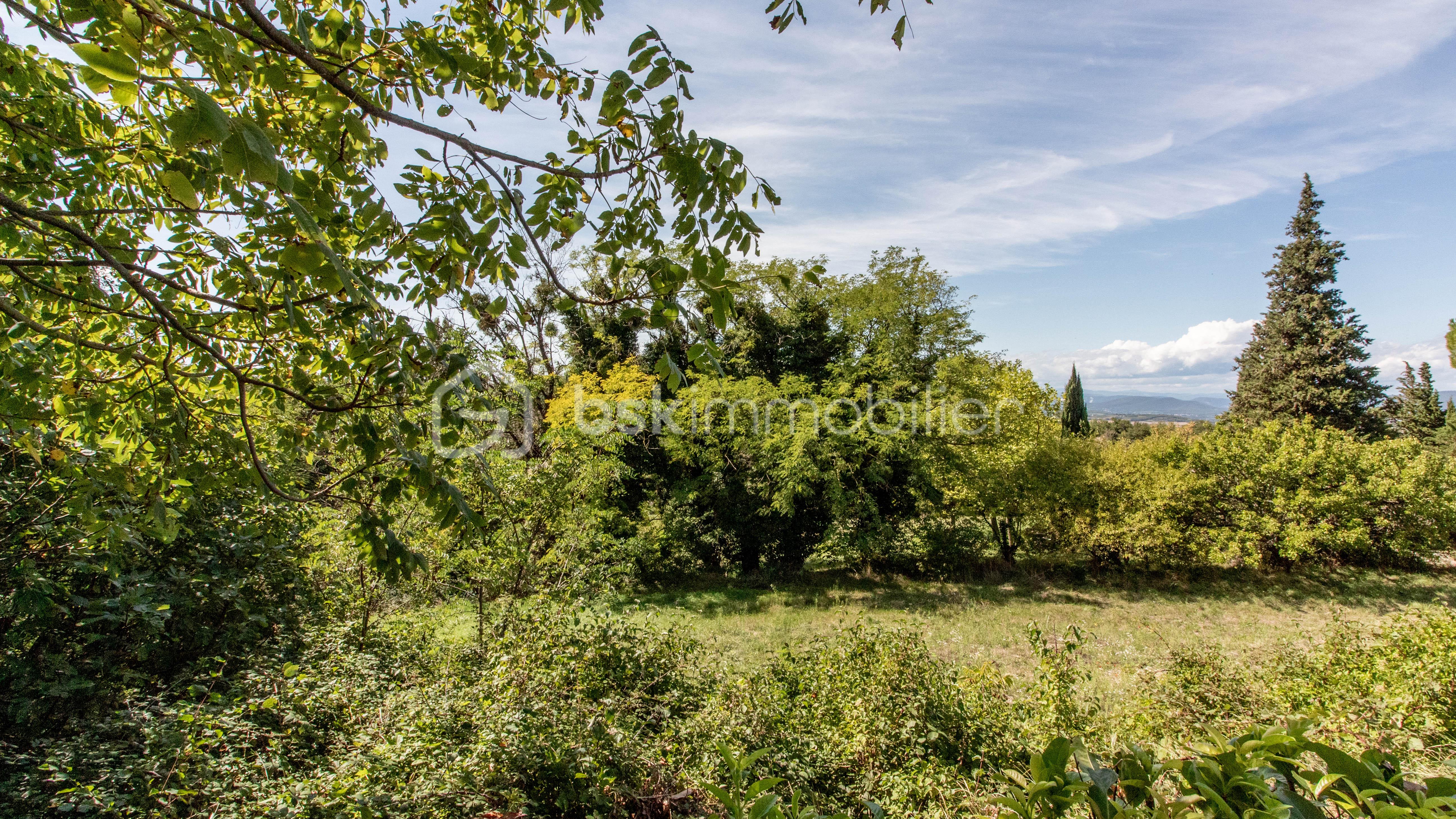 Propriete de 160 m² - IMG_7531.jpg