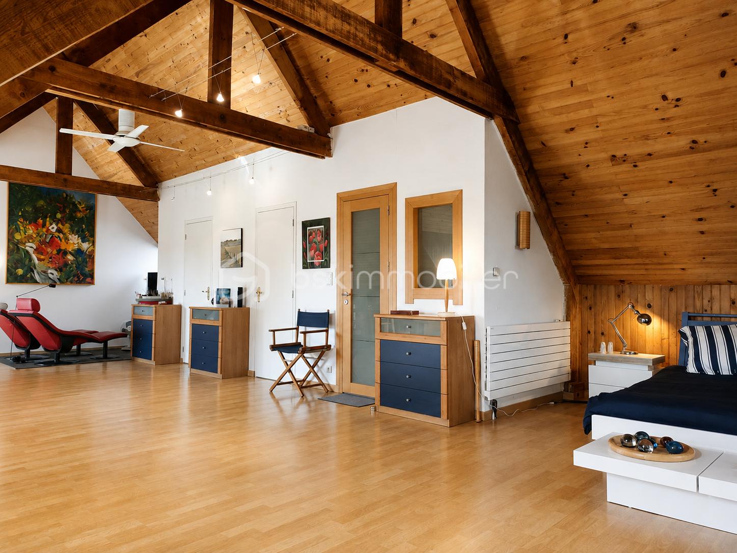 loft vue porte d'entrée racdrée.png