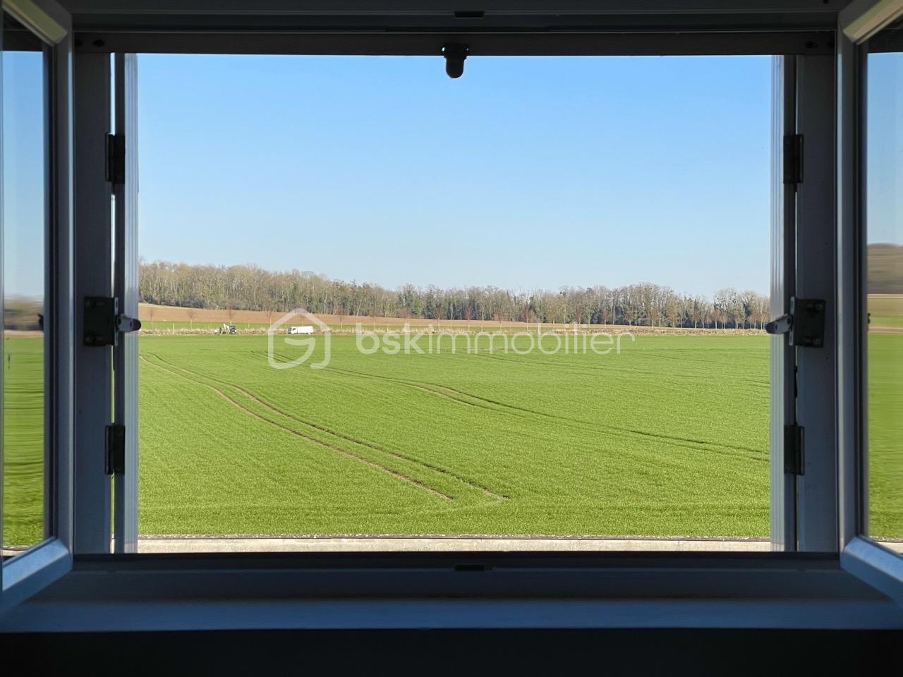 IMG_4982 - Grande.jpeg