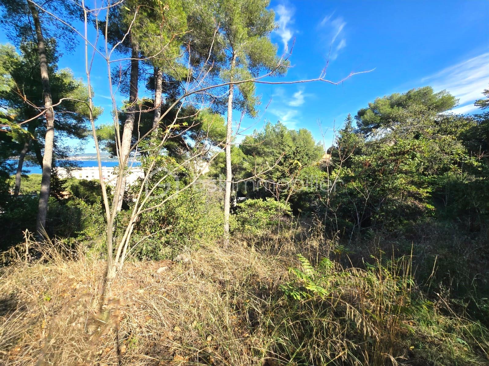 Terrain de 1 419 m² - PHOTO-2024-10-30-18-57-11.jpg