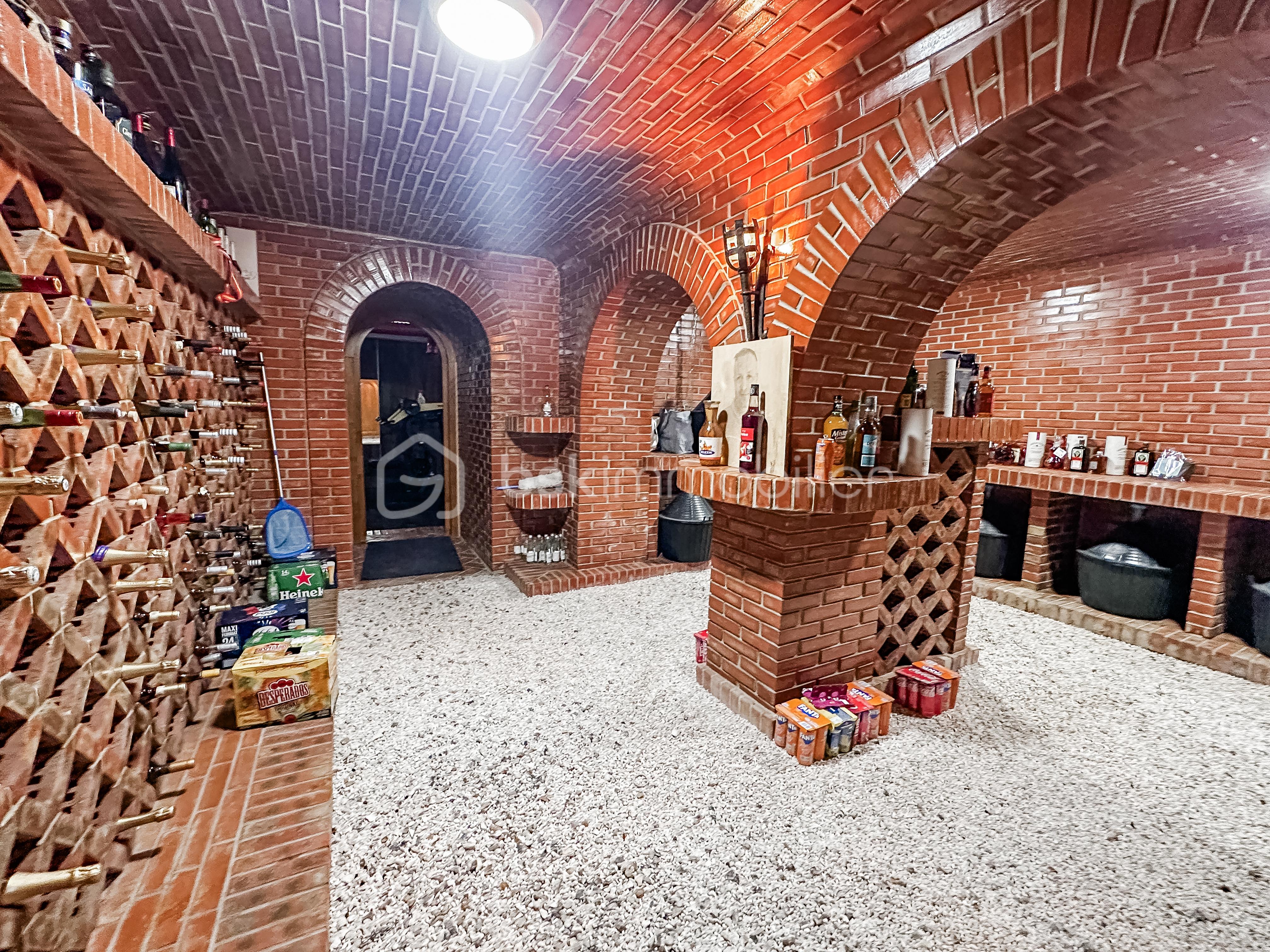 Demeure de 496,57 m² - IMG_8606.jpg