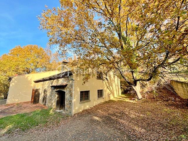 Maison traditionnelle de 175 m² - IMG_7954.JPG