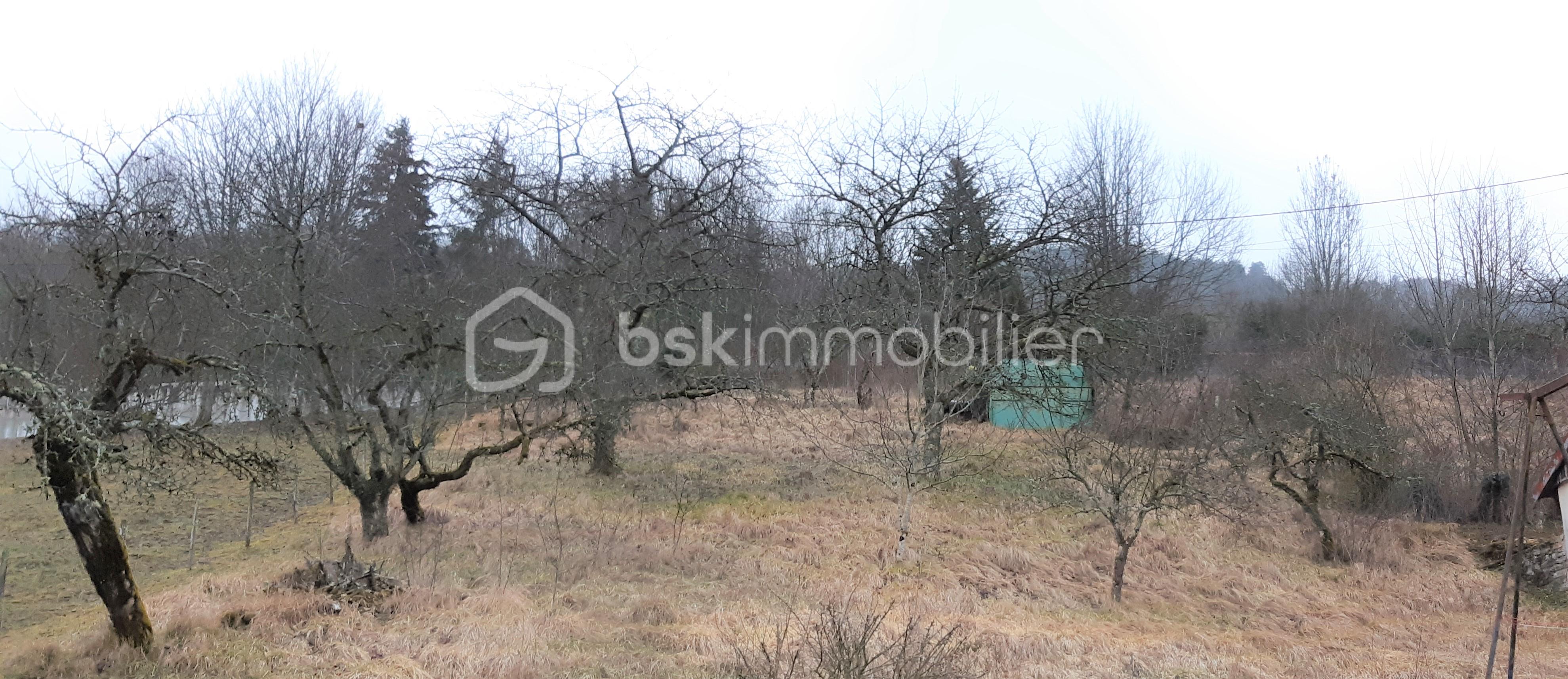 Terrain de 1 147 m²